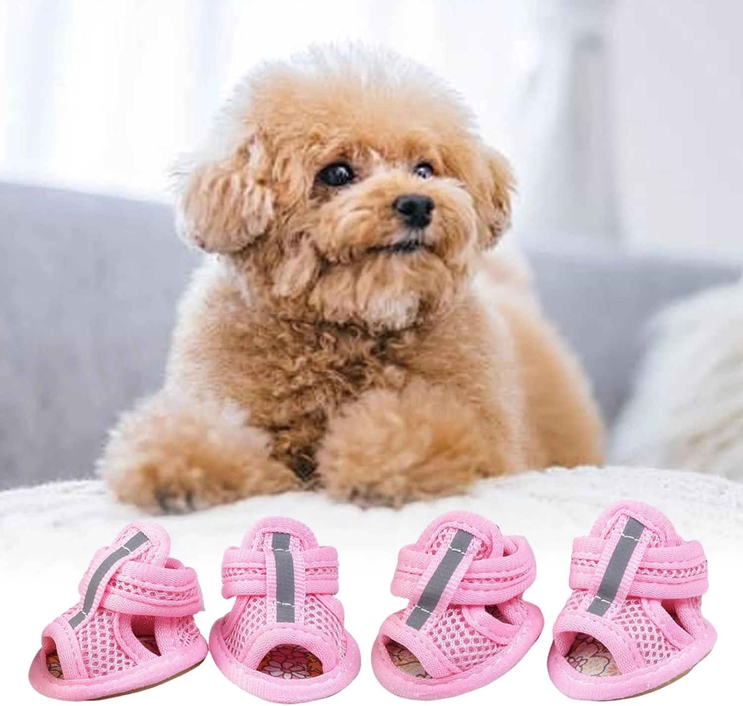 کفش و محافظ پنجه سگ | کفش پنجه سگ، محافظ ضد لغزش کفش بازتابنده برای پیاده روی شبانه، مسافرت در فضای باز، ساحل شهری، باران، پیاده رو، داخل خانه کفش و محافظ پنجه سگ | کفش پنجه سگ، محافظ ضد لغزش کفش بازتابنده برای پیاده روی شبانه، مسافرت در فضای باز، ساحل شهری، باران، پیاده رو، داخل خانه