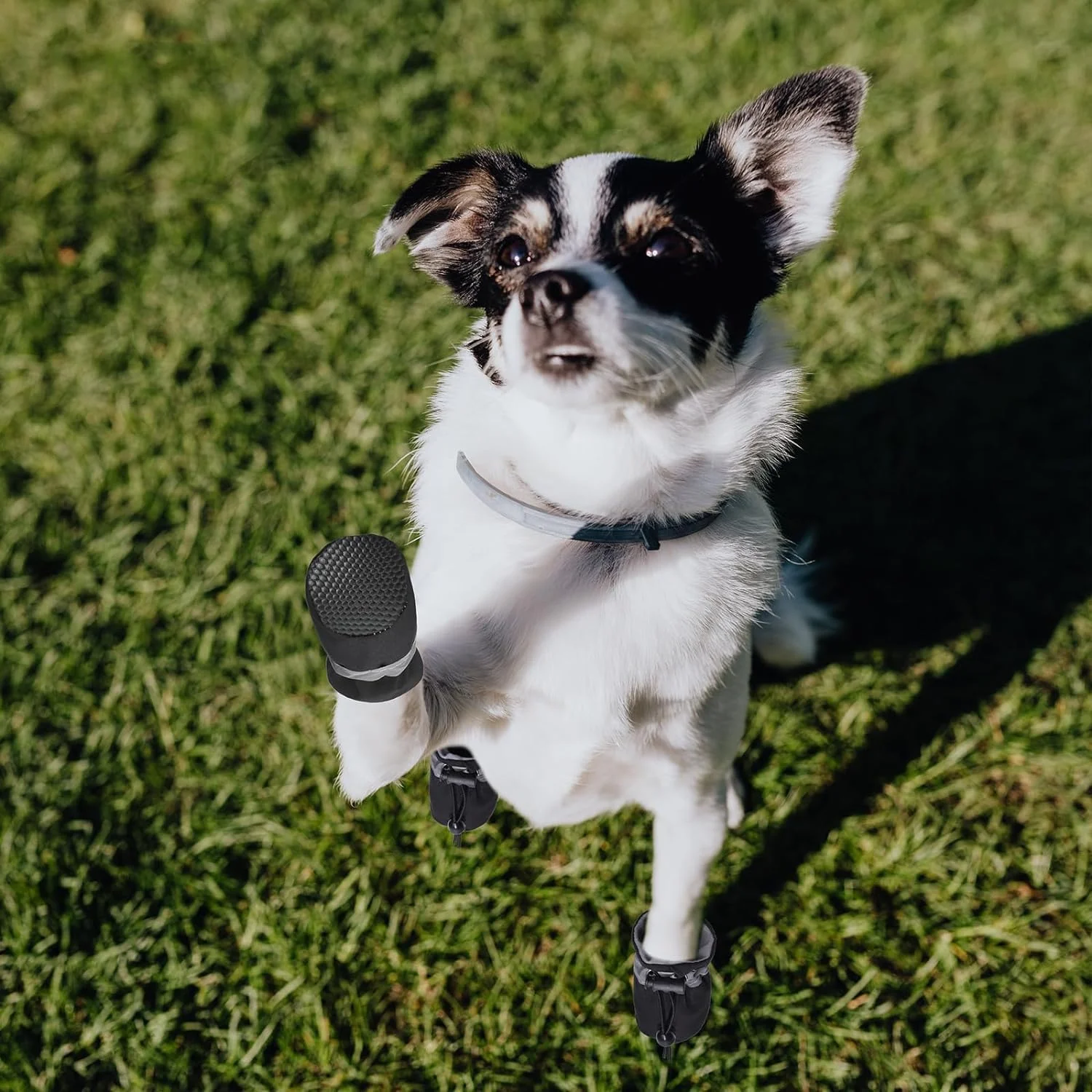 کفش سگ و گربه سایز 8، محافظ پنجه ضد لغزش و مناسب پیاده روی در سطوح داغ کفش سگ و گربه سایز 8، محافظ پنجه ضد لغزش و مناسب پیاده روی در سطوح داغ