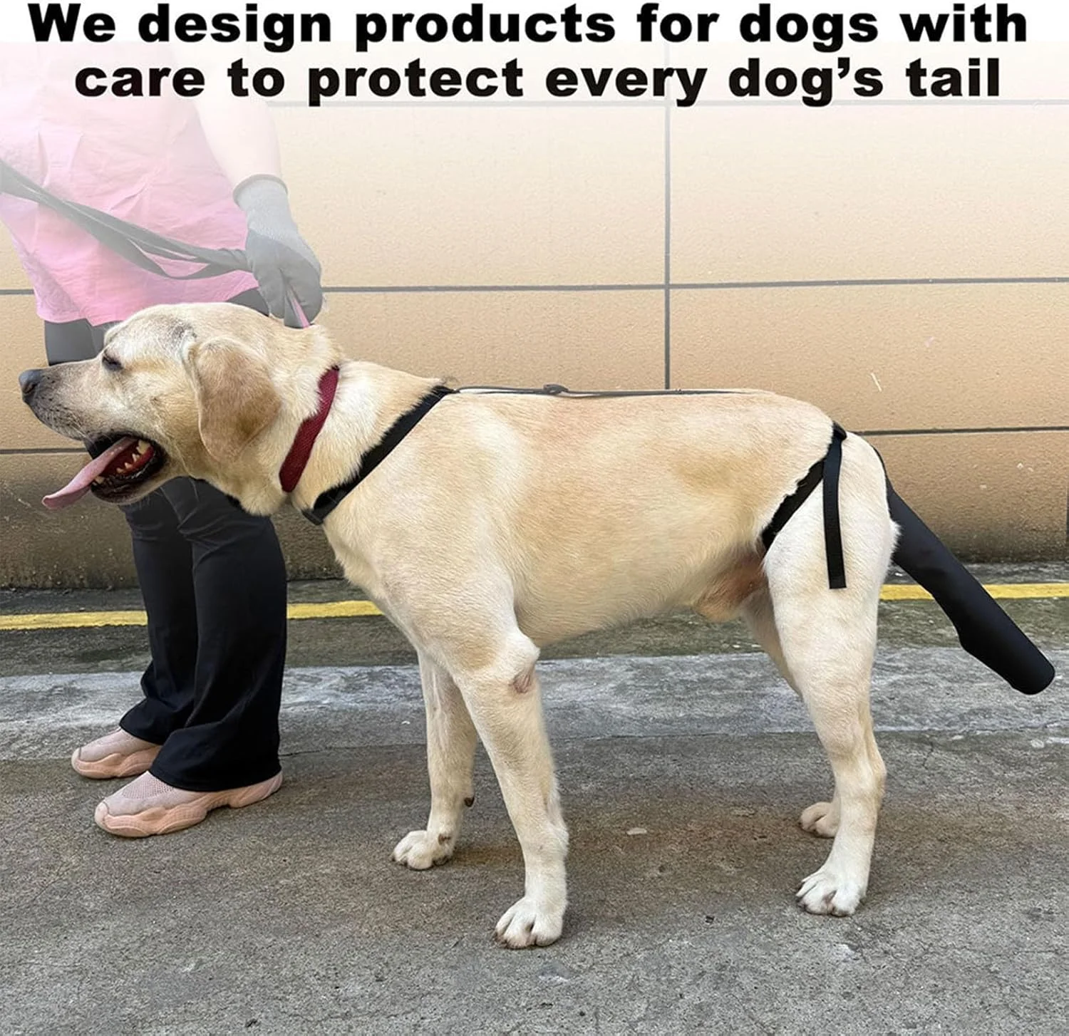 محافظ دم سگ، محافظ انتهای دم سگ، آستین محافظ مشکی، طراحی راحت و بادوام، آستین محافظ انتهای دم برای جلوگیری از لیسیدن برای بهبود، مناسب برای سگ های سایز بزرگ محافظ دم سگ، محافظ انتهای دم سگ، آستین محافظ مشکی، طراحی راحت و بادوام، آستین محافظ انتهای دم برای جلوگیری از لیسیدن برای بهبود، مناسب برای سگ های سایز بزرگ