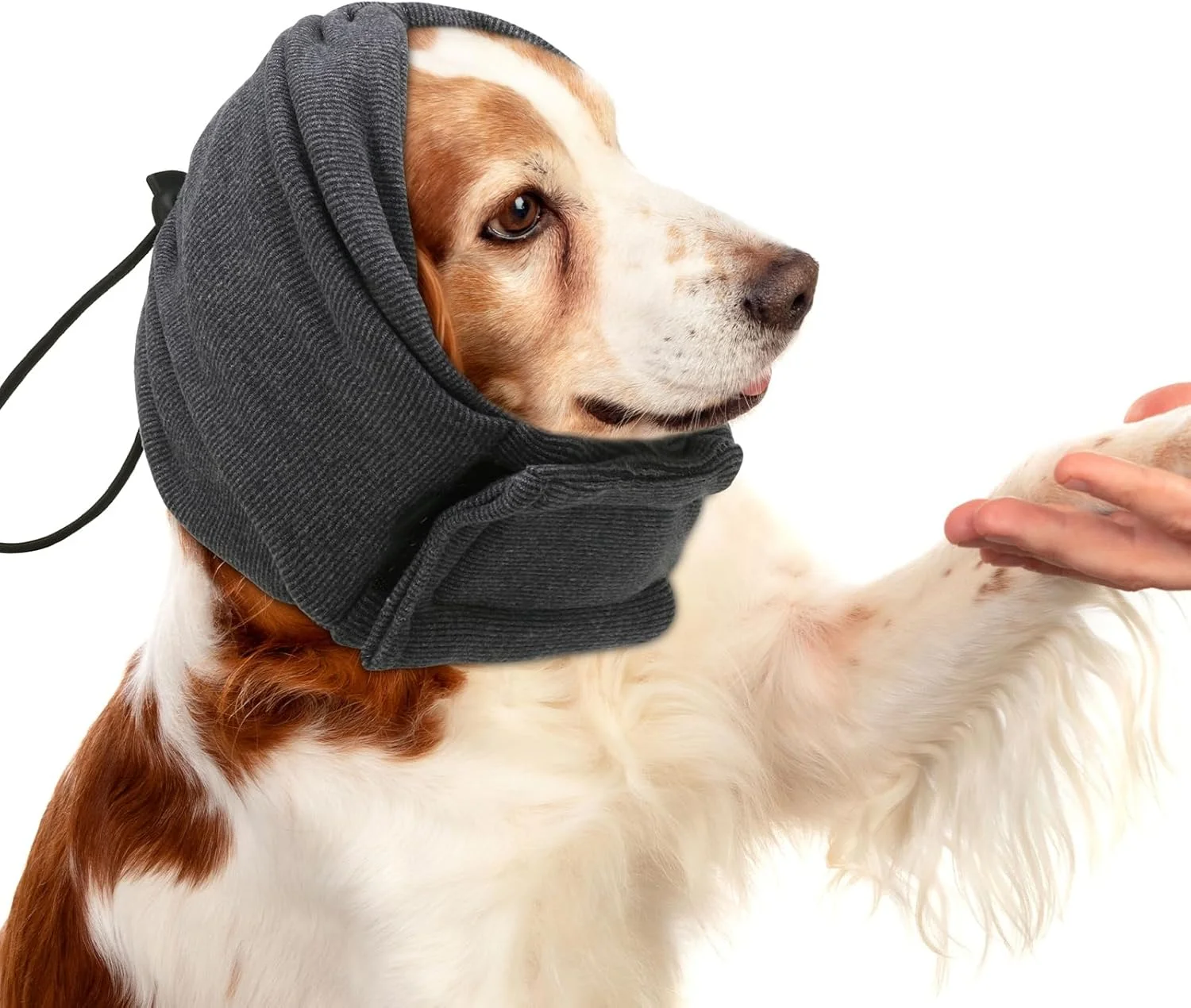 هدبند آرامش بخش سگ، روگوشی و پوشش سر - محافظت قابل تنظیم در برابر صدا، گوش گیر راحت برای سگ های مضطرب (2 عدد) هدبند آرامش بخش سگ، روگوشی و پوشش سر - محافظت قابل تنظیم در برابر صدا، گوش گیر راحت برای سگ های مضطرب (2 عدد)