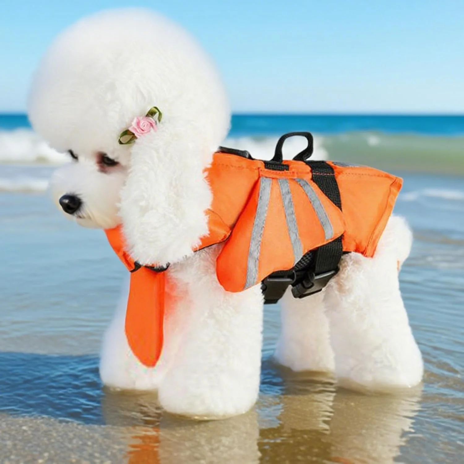 مایو شنا سگ | مایو نجات غریق حیوانات خانگی، ژاکت شناور بازتابنده قابل تنظیم برای نجات سگ در استخر، قایق سواری، ساحل و فعالیت های فضای باز مایو شنا سگ | مایو نجات غریق حیوانات خانگی، ژاکت شناور بازتابنده قابل تنظیم برای نجات سگ در استخر، قایق سواری، ساحل و فعالیت های فضای باز