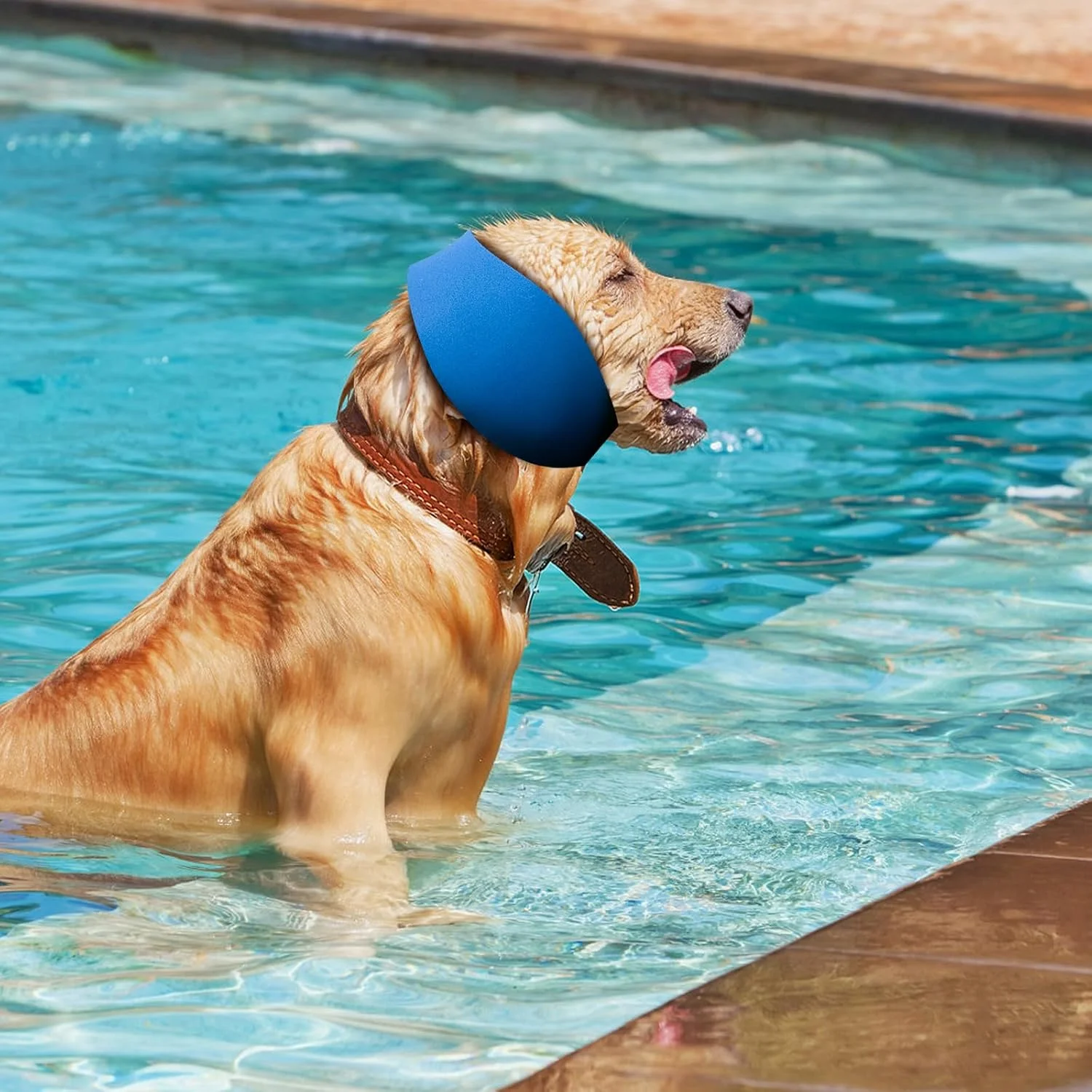 بسته 3 عددی کلاه شنا سگ، کلاه شنا، محافظ گوش ضد آب سگ برای شنا، گوش سگ، محافظت، 3 سایز برای سگ های کوچک، متوسط و بزرگ بسته 3 عددی کلاه شنا سگ، کلاه شنا، محافظ گوش ضد آب سگ برای شنا، گوش سگ، محافظت، 3 سایز برای سگ های کوچک، متوسط و بزرگ
