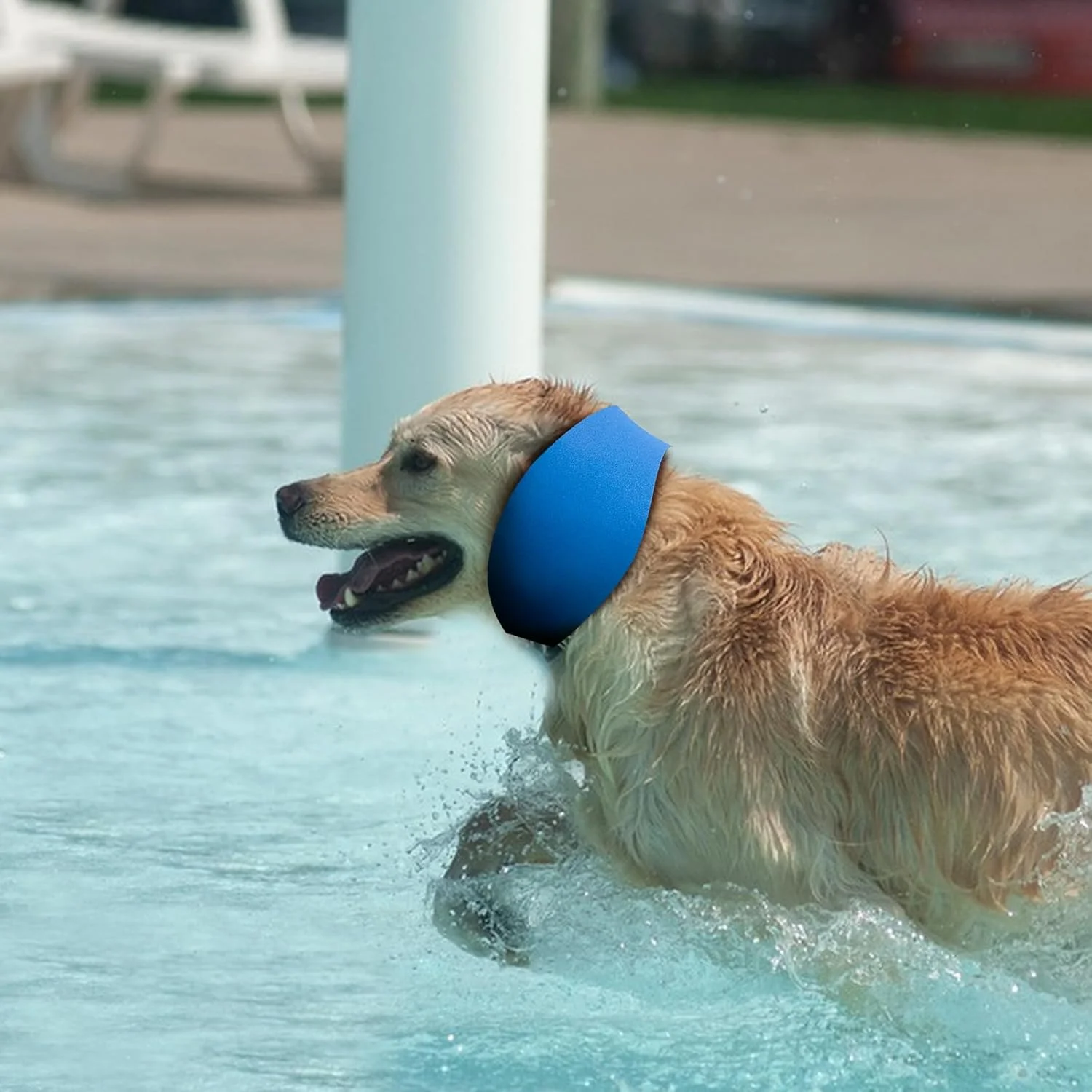 بسته 3 عددی کلاه شنا سگ، کلاه شنا، محافظ گوش ضد آب سگ برای شنا، گوش سگ، محافظت، 3 سایز برای سگ های کوچک، متوسط و بزرگ بسته 3 عددی کلاه شنا سگ، کلاه شنا، محافظ گوش ضد آب سگ برای شنا، گوش سگ، محافظت، 3 سایز برای سگ های کوچک، متوسط و بزرگ