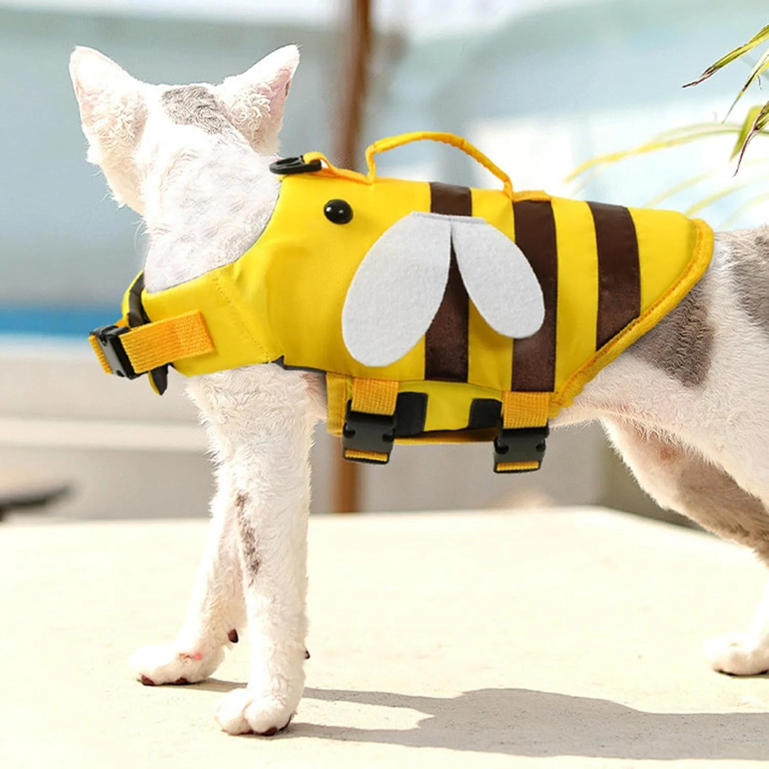 جلیقه نجات سگ برای شنا، جلیقه ایمنی شنای تنفسی حیوانات خانگی، ضد آب برای سگ ها، محافظ های نجات قابل تنظیم سگ برای استخر، ساحل یا قایق سواری، رهاسازی سریع جلیقه نجات سگ برای شنا، جلیقه ایمنی شنای تنفسی حیوانات خانگی، ضد آب برای سگ ها، محافظ های نجات قابل تنظیم سگ برای استخر، ساحل یا قایق سواری، رهاسازی سریع