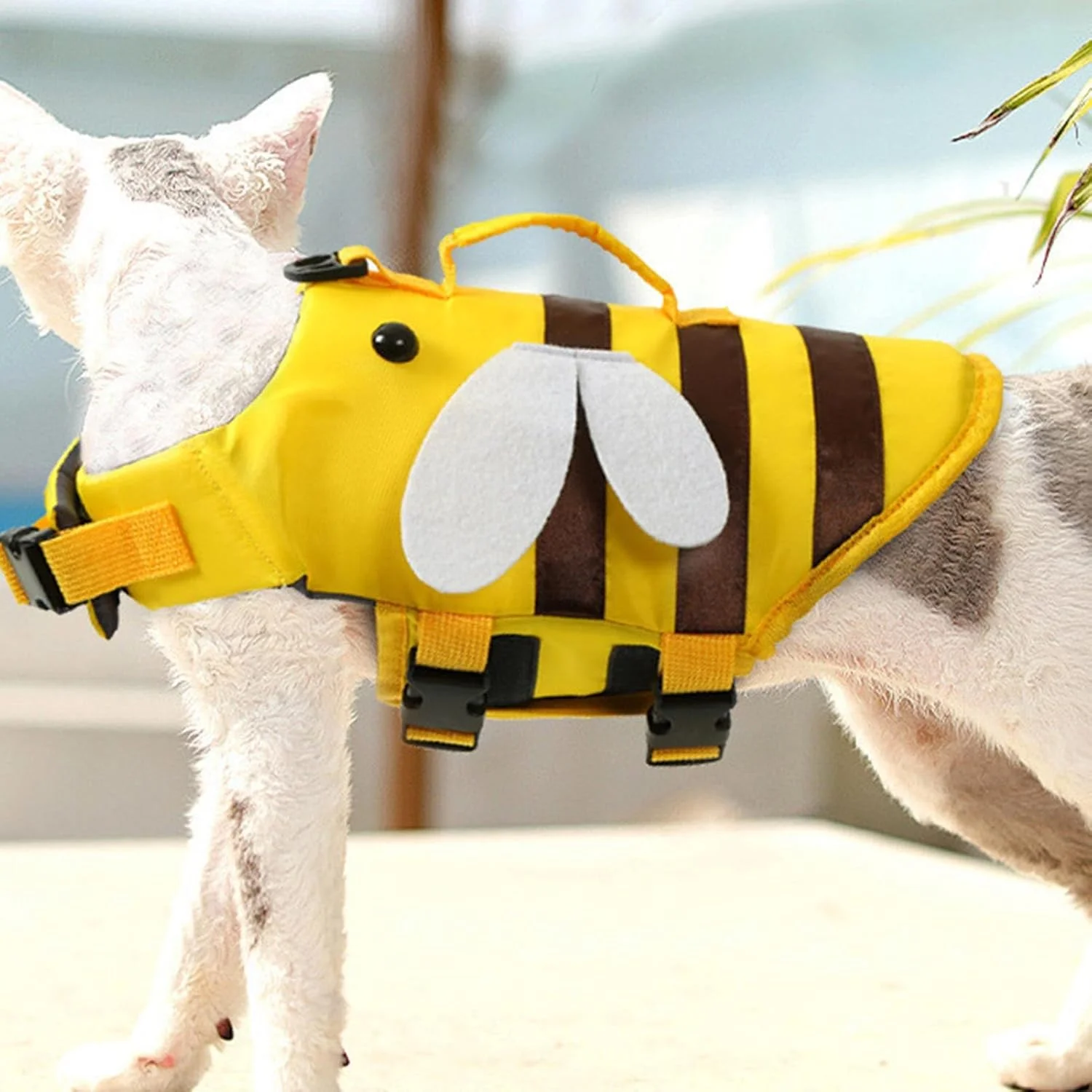 جلیقه نجات سگ برای شنا، جلیقه ایمنی شنای تنفسی حیوانات خانگی، ضد آب برای سگ ها، محافظ های نجات قابل تنظیم سگ برای استخر، ساحل یا قایق سواری، رهاسازی سریع جلیقه نجات سگ برای شنا، جلیقه ایمنی شنای تنفسی حیوانات خانگی، ضد آب برای سگ ها، محافظ های نجات قابل تنظیم سگ برای استخر، ساحل یا قایق سواری، رهاسازی سریع