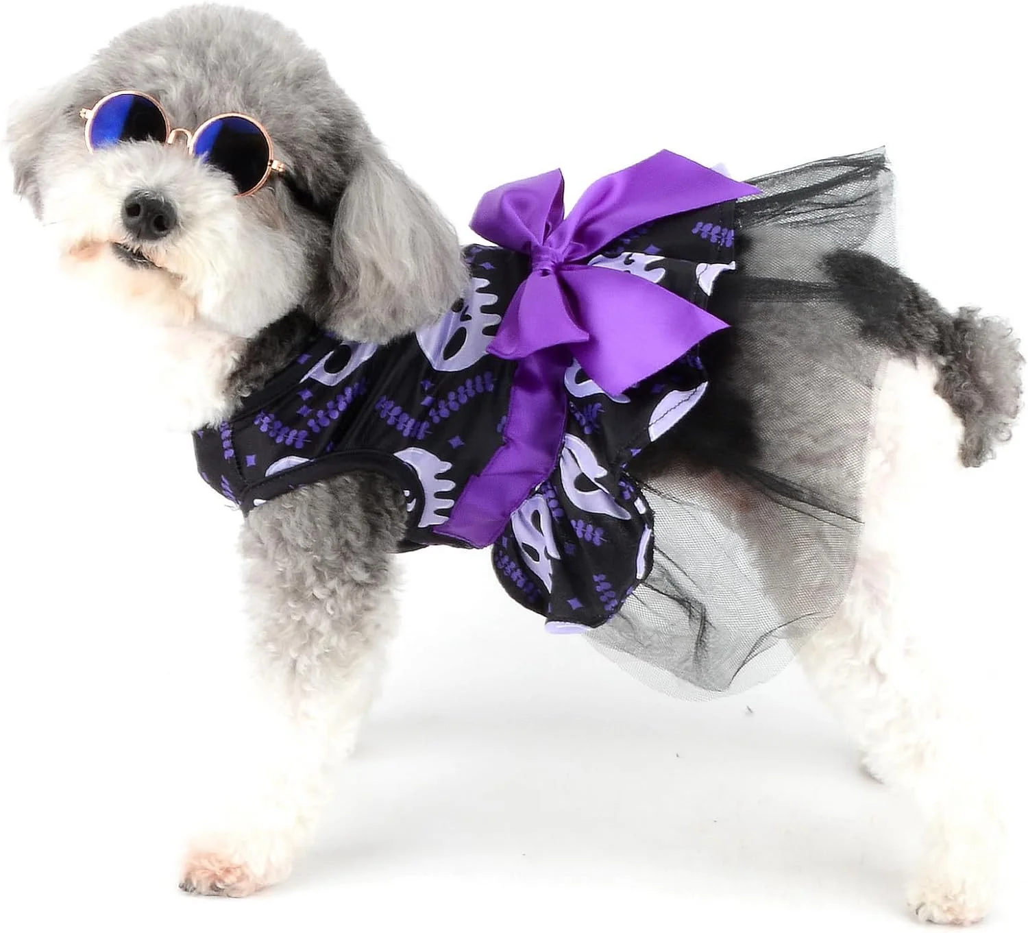 لباس هالووین سگ Zunea برای سگ های کوچک و گربه ها، لباس های فانتزی توله سگ دخترانه با طرح اسکلت، دامن توری لایه ای نرم حیوانات خانگی با پاپیون، لباس های چیواوا یورکی مشکی S لباس هالووین سگ Zunea برای سگ های کوچک و گربه ها، لباس های فانتزی توله سگ دخترانه با طرح اسکلت، دامن توری لایه ای نرم حیوانات خانگی با پاپیون، لباس های چیواوا یورکی مشکی S