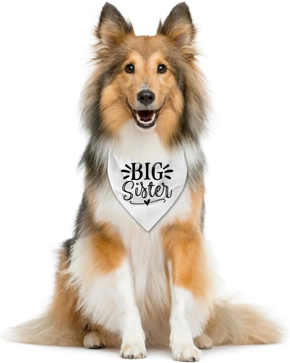 دستمال گردن سگ خواهر بزرگ ZPPRJF، دستمال گردن سگ، لوازم جانبی روسری سگ سفید، روسری مثلثی سگ، دستمال گردن سگ برای سگ های کوچک متوسط بزرگ، دستمال گردن سگ اعلام نوزاد، روسری سگ (B17) دستمال گردن سگ خواهر بزرگ ZPPRJF، دستمال گردن سگ، لوازم جانبی روسری سگ سفید، روسری مثلثی سگ، دستمال گردن سگ برای سگ های کوچک متوسط بزرگ، دستمال گردن سگ اعلام نوزاد، روسری سگ (B17)