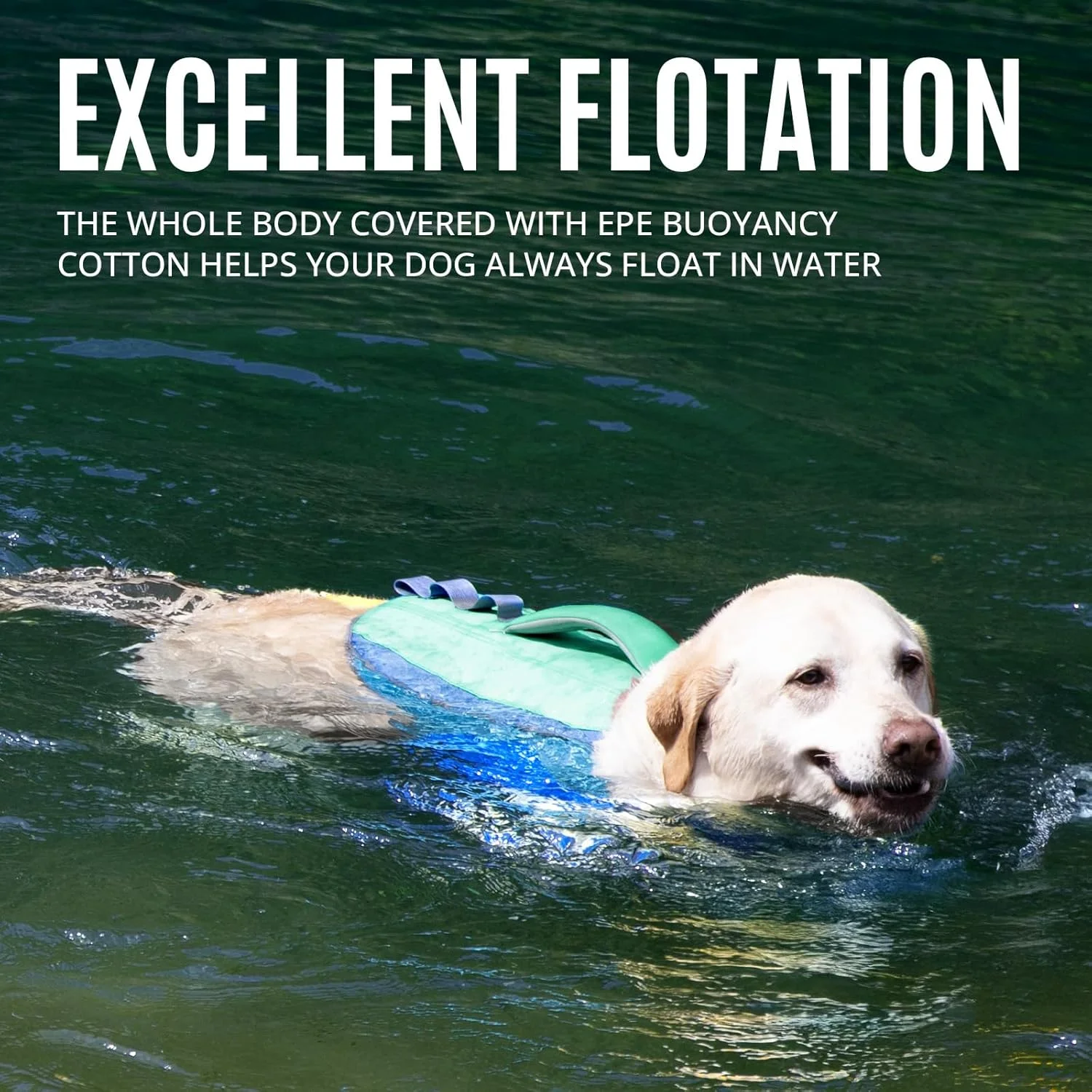 جلیقه نجات سگ ZLX، جلیقه سگ با دسته ایمن، جلیقه نجات مقاوم در برابر پارگی برای سگ های کوچک، متوسط و بزرگ، جلیقه نجات سبک وزن قابل تنظیم حیوانات خانگی، شنا، قایق سواری، ایمنی در آب جلیقه نجات سگ ZLX، جلیقه سگ با دسته ایمن، جلیقه نجات مقاوم در برابر پارگی برای سگ های کوچک، متوسط و بزرگ، جلیقه نجات سبک وزن قابل تنظیم حیوانات خانگی، شنا، قایق سواری، ایمنی در آب