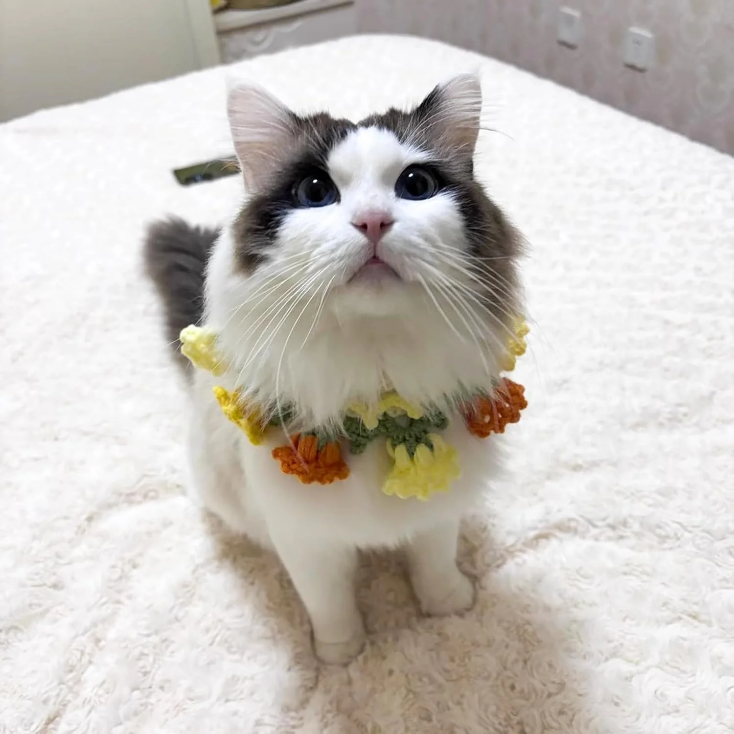 یوئتون، 1 عدد دستمال گردن بافتنی طرح گل زنبق دره برای گربه ها و سگ ها، پیشبند و شال گردن گربه ای طرح گل کاوائی، لوازم حیوانات خانگی دوست داشتنی برای جشن تولد و عکاسی