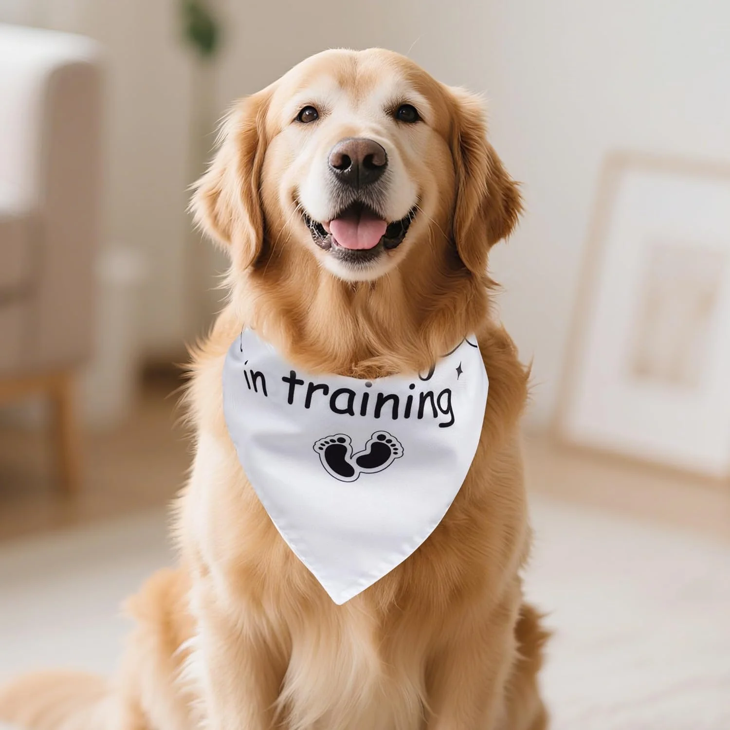 Yymobt دستمال گردن سگ خواهر بزرگ، 2 عدد دستمال گردن سگ برای اعلام بارداری، امنیت کودک در حال آموزش، دستمال گردن چاپی سگ، روسری مثلثی قابل تنظیم، روسری حیوانات خانگی برای سگ های متوسط و بزرگ، ایده های رونمایی از بارداری Yymobt دستمال گردن سگ خواهر بزرگ، 2 عدد دستمال گردن سگ برای اعلام بارداری، امنیت کودک در حال آموزش، دستمال گردن چاپی سگ، روسری مثلثی قابل تنظیم، روسری حیوانات خانگی برای سگ های متوسط و بزرگ، ایده های رونمایی از بارداری