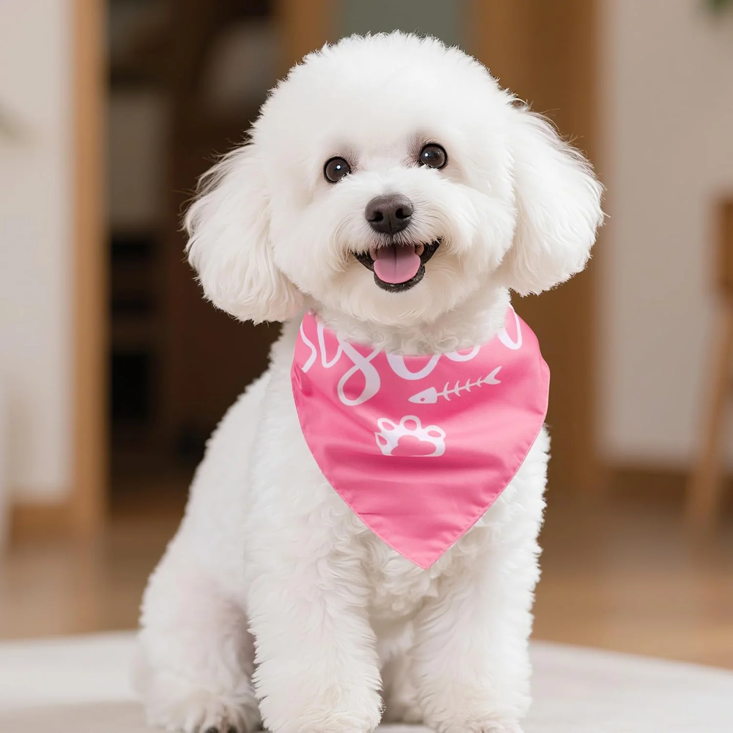 Yymobt دستمال گردن سگ خواهر بزرگ، 2 عدد دستمال گردن سگ برای اعلام بارداری، امنیت کودک در حال آموزش، دستمال گردن چاپی سگ، روسری مثلثی قابل تنظیم، روسری حیوانات خانگی برای سگ های متوسط و بزرگ، ایده های رونمایی از بارداری Yymobt دستمال گردن سگ خواهر بزرگ، 2 عدد دستمال گردن سگ برای اعلام بارداری، امنیت کودک در حال آموزش، دستمال گردن چاپی سگ، روسری مثلثی قابل تنظیم، روسری حیوانات خانگی برای سگ های متوسط و بزرگ، ایده های رونمایی از بارداری