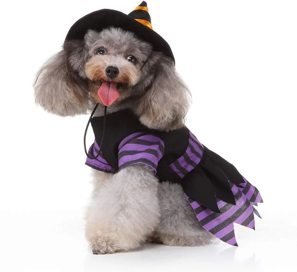 لباس جادوگر سگ و گربه Yoption با کلاه جادویی، هودی لباس هالووین و کریسمس حیوانات خانگی، لباس های خنده دار برای توله سگ ها (L) لباس جادوگر سگ و گربه Yoption با کلاه جادویی، هودی لباس هالووین و کریسمس حیوانات خانگی، لباس های خنده دار برای توله سگ ها (L)