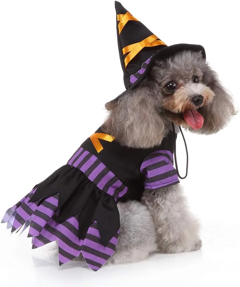 لباس جادوگر سگ و گربه Yoption با کلاه جادویی، هودی لباس هالووین و کریسمس حیوانات خانگی، لباس های خنده دار برای توله سگ ها (L) لباس جادوگر سگ و گربه Yoption با کلاه جادویی، هودی لباس هالووین و کریسمس حیوانات خانگی، لباس های خنده دار برای توله سگ ها (L)