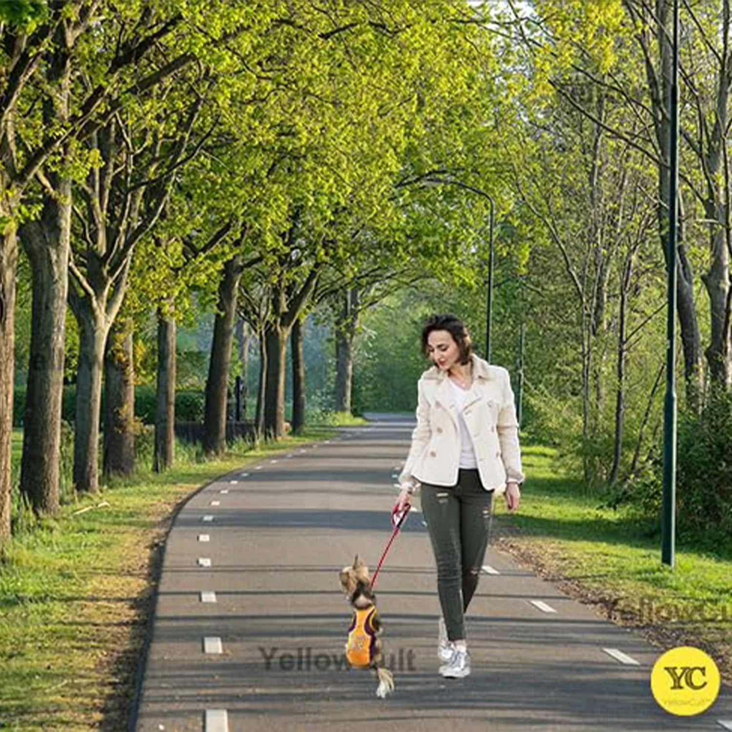 تی شرت سگ بامزه Yellowcult، لباس تابستانی اسپرت حیوانات خانگی با طرح تصادفی برای سگ کوچک، گربه، توله سگ، بچه گربه، دیوالی، جشنواره، مسافرت، گردش، عکس (XS- هر 1 عدد) تی شرت سگ بامزه Yellowcult، لباس تابستانی اسپرت حیوانات خانگی با طرح تصادفی برای سگ کوچک، گربه، توله سگ، بچه گربه، دیوالی، جشنواره، مسافرت، گردش، عکس (XS- هر 1 عدد)