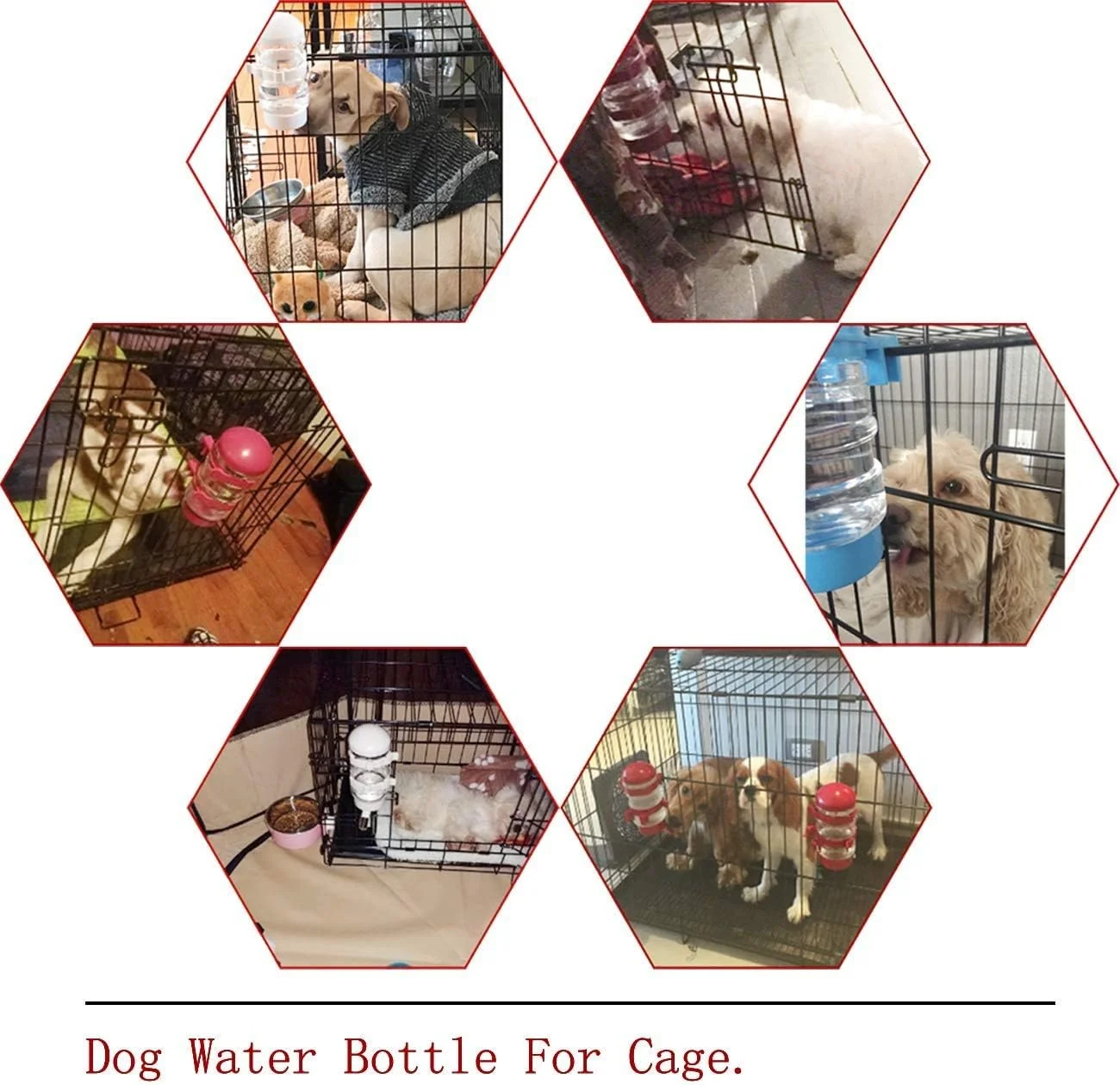 بطری آب سگ ELECDON، آبخوری آویز سگ، کتری خوراک دهنده، آبخوری قابل حمل ضد نشت برای توله سگ، با خوراک دهنده نوشیدنی برای پیاده روی در فضای باز و مسافرت حیوانات خانگی بطری آب سگ ELECDON، آبخوری آویز سگ، کتری خوراک دهنده، آبخوری قابل حمل ضد نشت برای توله سگ، با خوراک دهنده نوشیدنی برای پیاده روی در فضای باز و مسافرت حیوانات خانگی