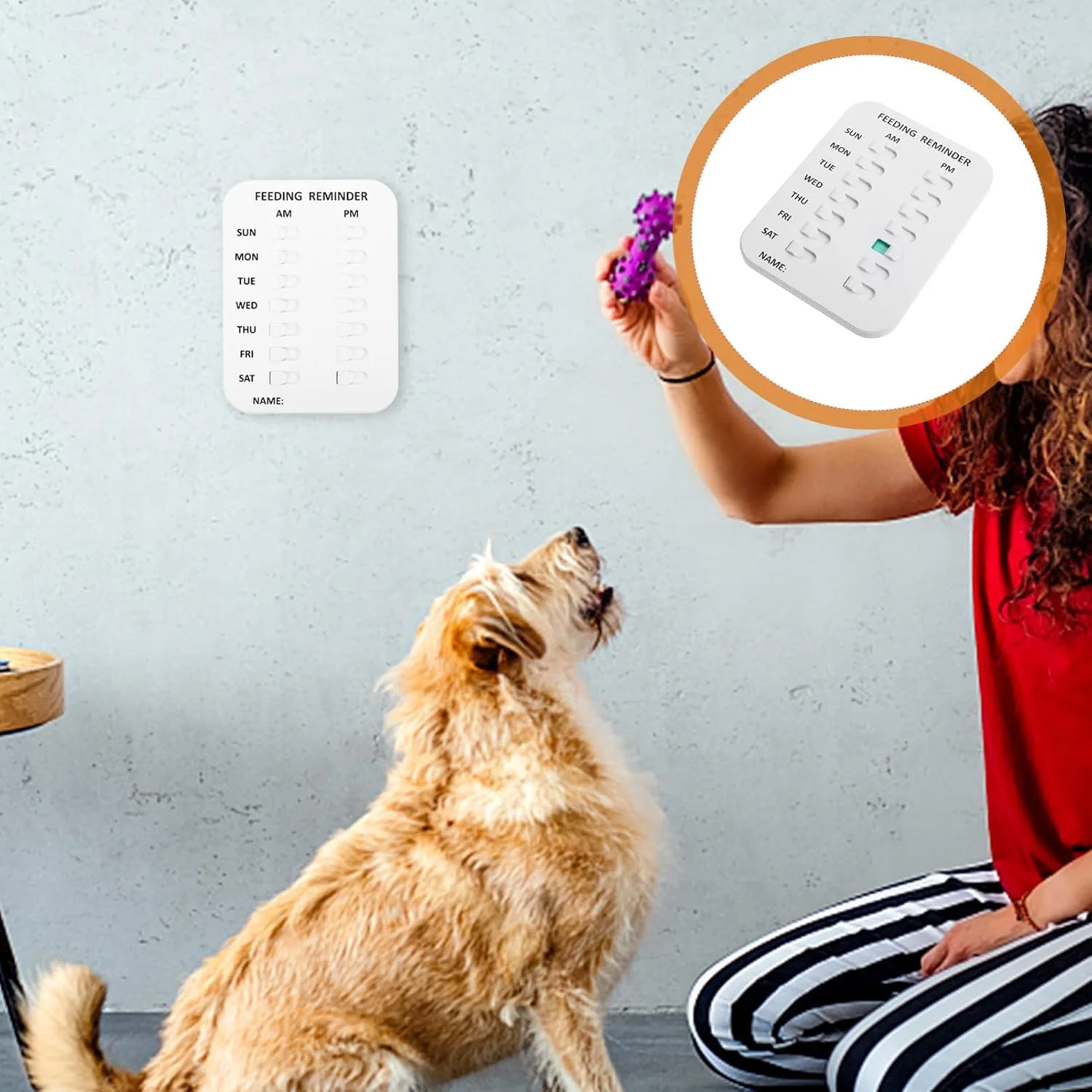 MNDEAN لوازم غذا و آب گربه، یادآور تغذیه حیوانات خانگی، نمودار غذای گربه، استیکر یادآور مغناطیسی، نمودار نشانگر روزانه صبح/بعد از ظهر و روزهای هفته برای تغذیه سگ و گربه شما MNDEAN لوازم غذا و آب گربه، یادآور تغذیه حیوانات خانگی، نمودار غذای گربه، استیکر یادآور مغناطیسی، نمودار نشانگر روزانه صبح/بعد از ظهر و روزهای هفته برای تغذیه سگ و گربه شما