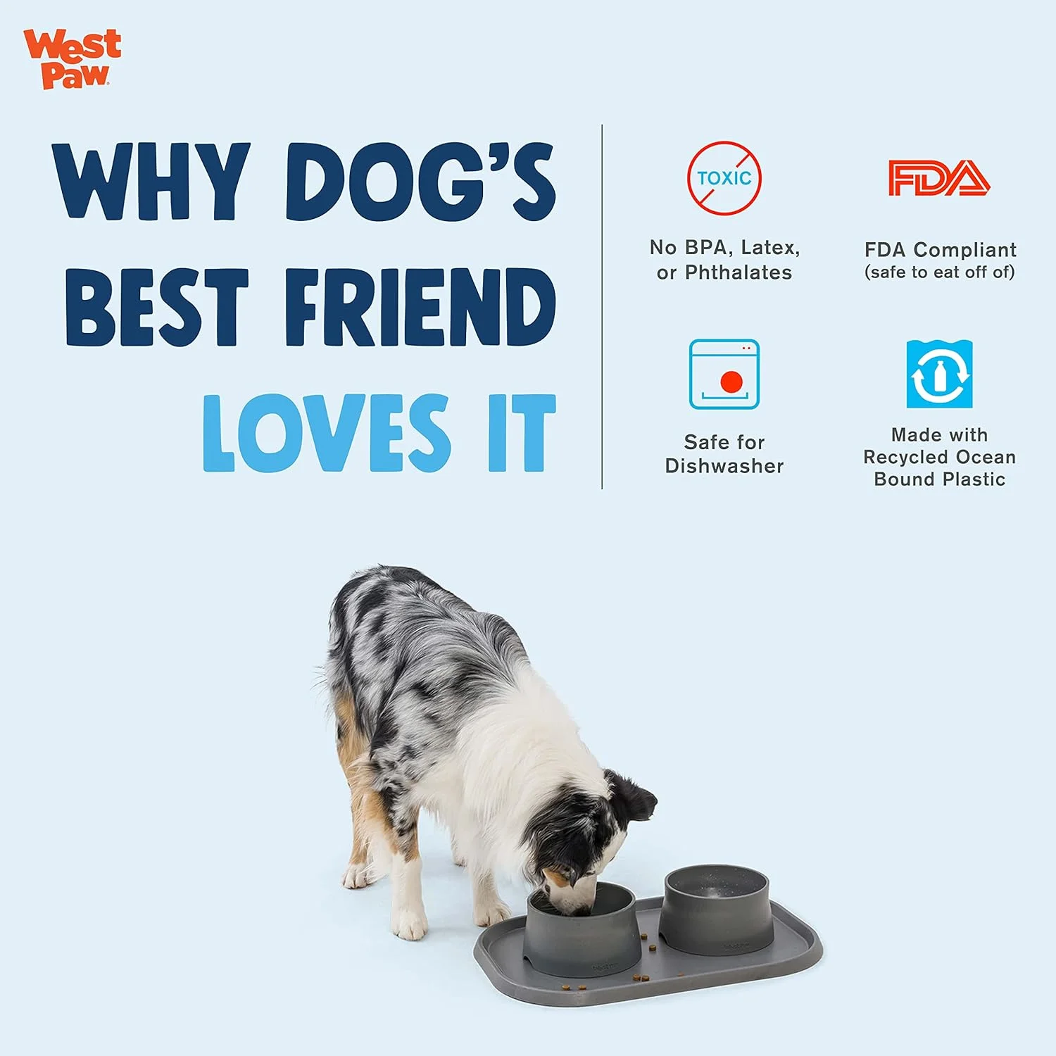 کاسه غذای ضد لغزش سگ وست پا سیفلکس - کاسه غذای کمتر کثیف برای سگ ها، گربه ها، حیوانات خانگی برای تغذیه آرام - ظرفیت 4 پیمانه غذای خشک، 35 اونس آب - قابل شستشو در ماشین ظرفشویی، غیر سمی - ساختار قابل بازیافت، دریایی کاسه غذای ضد لغزش سگ وست پا سیفلکس - کاسه غذای کمتر کثیف برای سگ ها، گربه ها، حیوانات خانگی برای تغذیه آرام - ظرفیت 4 پیمانه غذای خشک، 35 اونس آب - قابل شستشو در ماشین ظرفشویی، غیر سمی - ساختار قابل بازیافت، دریایی