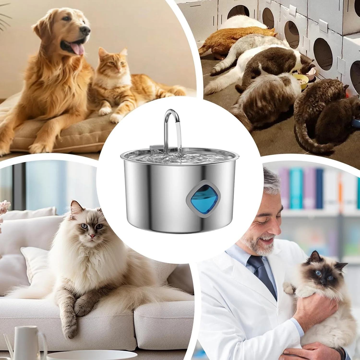 آبنمای اتوماتیک برای گربه های خانگی | آب پخش کن 3.2 لیتری گربه و سگ - پخش کننده اتوماتیک غذا، لوازم حیوانات خانگی برای سگ و گربه های کوچک، متوسط و بزرگ آبنمای اتوماتیک برای گربه های خانگی | آب پخش کن 3.2 لیتری گربه و سگ - پخش کننده اتوماتیک غذا، لوازم حیوانات خانگی برای سگ و گربه های کوچک، متوسط و بزرگ