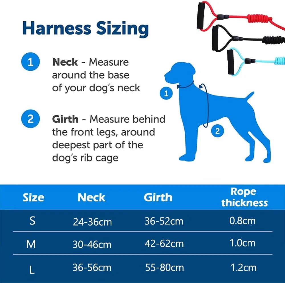 ست قلاده سگ NeoStyle، قلاده و بند سگ، قلاده سبک و قابل تنظیم حیوانات خانگی و بند، قلاده نرم و ایمن برای پیاده روی و مسافرت، مناسب برای گربه ها و سگ های کوچک و متوسط (M، آبی (ست 3 تکه)) ست قلاده سگ NeoStyle، قلاده و بند سگ، قلاده سبک و قابل تنظیم حیوانات خانگی و بند، قلاده نرم و ایمن برای پیاده روی و مسافرت، مناسب برای گربه ها و سگ های کوچک و متوسط (M، آبی (ست 3 تکه))