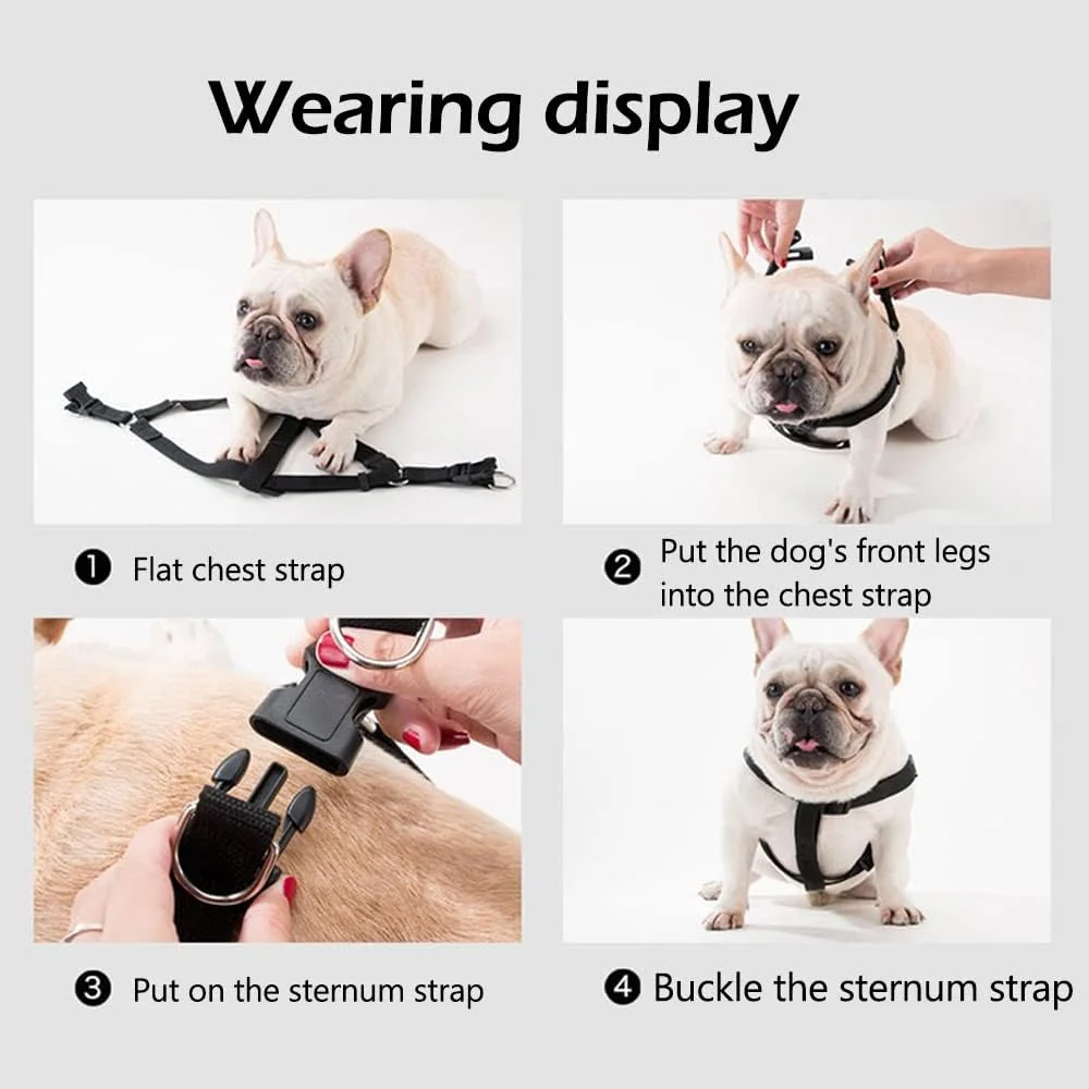 ست قلاده سگ NeoStyle، قلاده و بند سگ، قلاده سبک و قابل تنظیم حیوانات خانگی و بند، قلاده نرم و ایمن برای پیاده روی و مسافرت، مناسب برای گربه ها و سگ های کوچک و متوسط (M، آبی (ست 3 تکه)) ست قلاده سگ NeoStyle، قلاده و بند سگ، قلاده سبک و قابل تنظیم حیوانات خانگی و بند، قلاده نرم و ایمن برای پیاده روی و مسافرت، مناسب برای گربه ها و سگ های کوچک و متوسط (M، آبی (ست 3 تکه))