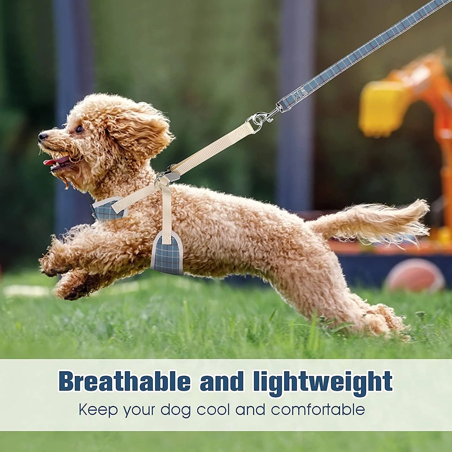 ست قلاده و بند سگ کوچک TERRIFI، جلیقه طرح چهارخانه با پاپیون، قلاده پایه قابل تنظیم و جداشدنی برای پیاده روی سگ های کوچک (سایز M، طرح چهارخانه آبی)