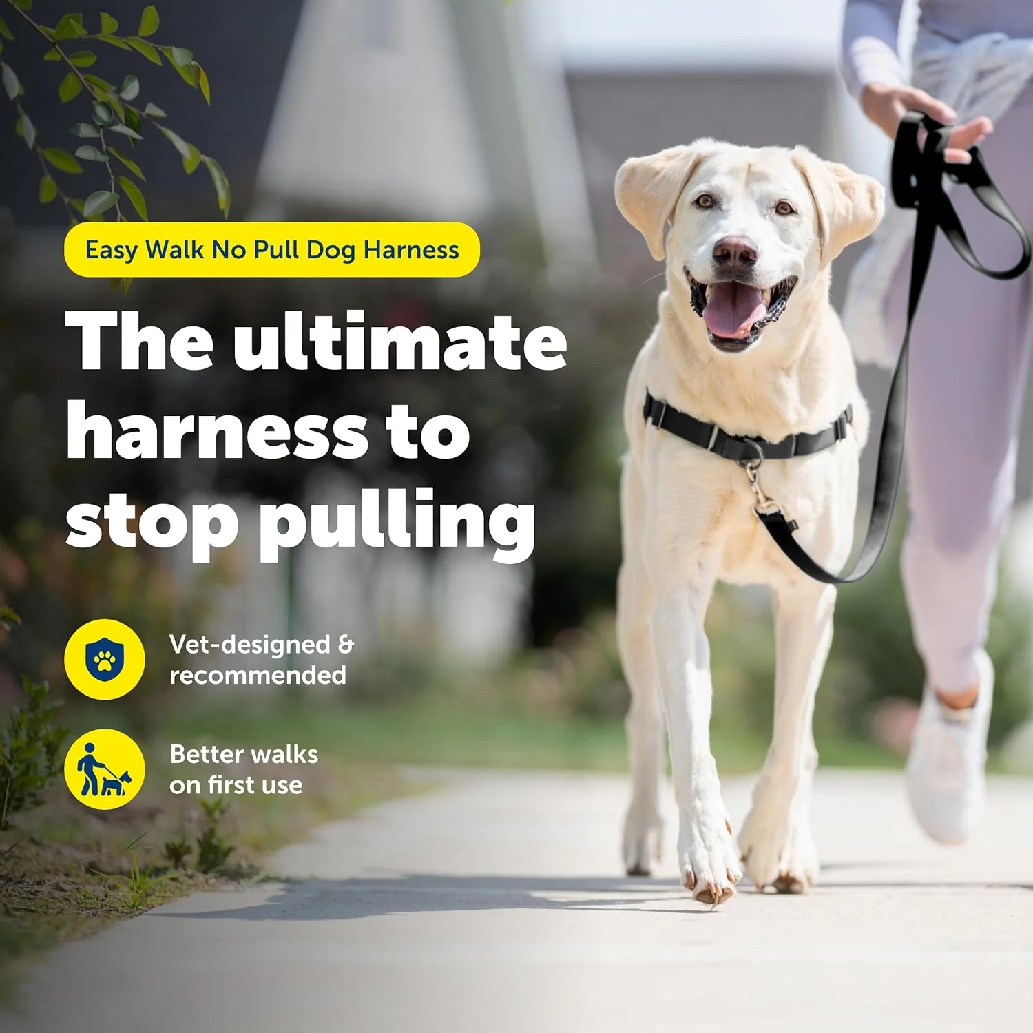 هارنس سگ PetSafe مدل Easy Walk، هارنس ضد کشش سگ، مشکی/نقره ای، بزرگ (EWH-HC-L-BLK) هارنس سگ PetSafe مدل Easy Walk، هارنس ضد کشش سگ، مشکی/نقره ای، بزرگ (EWH-HC-L-BLK)