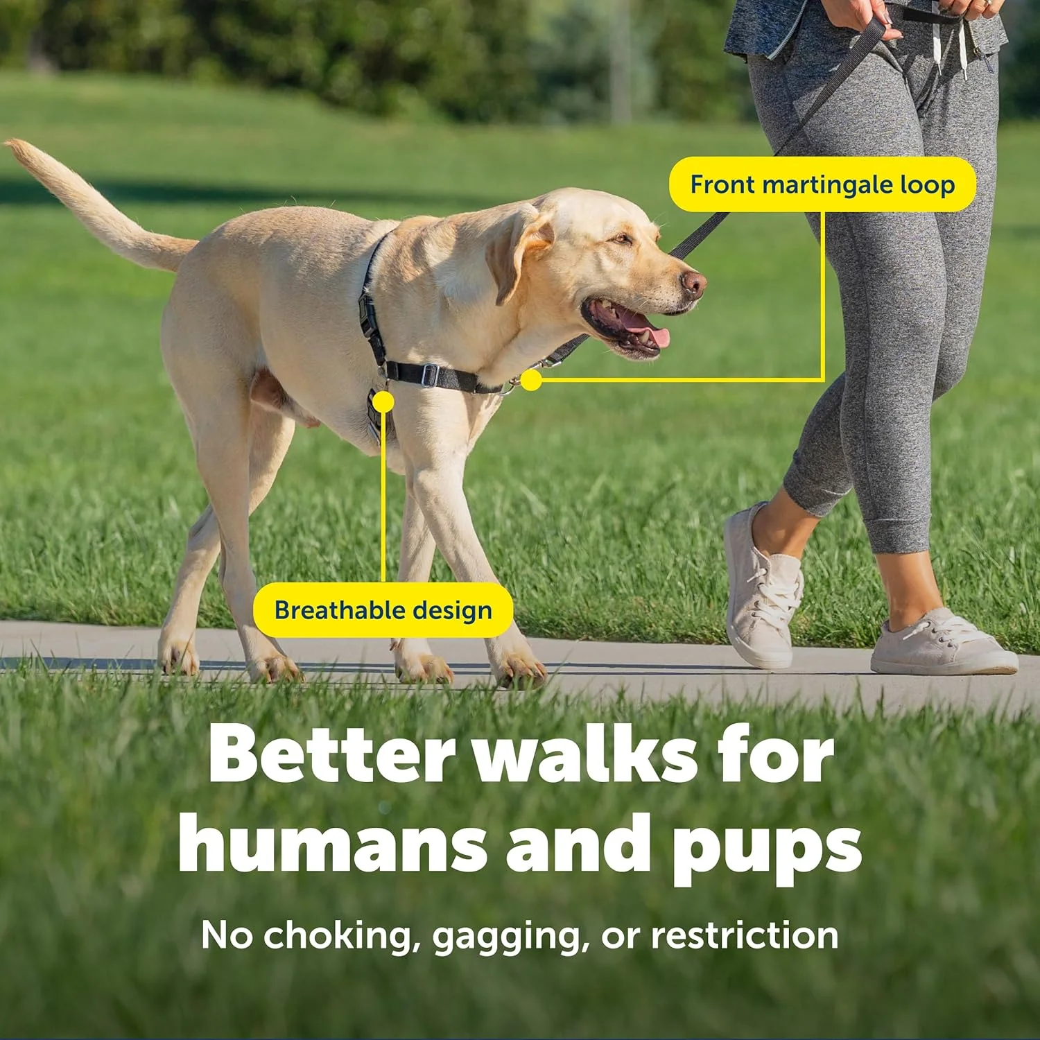 هارنس سگ PetSafe مدل Easy Walk، هارنس ضد کشش سگ، مشکی/نقره ای، بزرگ (EWH-HC-L-BLK) هارنس سگ PetSafe مدل Easy Walk، هارنس ضد کشش سگ، مشکی/نقره ای، بزرگ (EWH-HC-L-BLK)