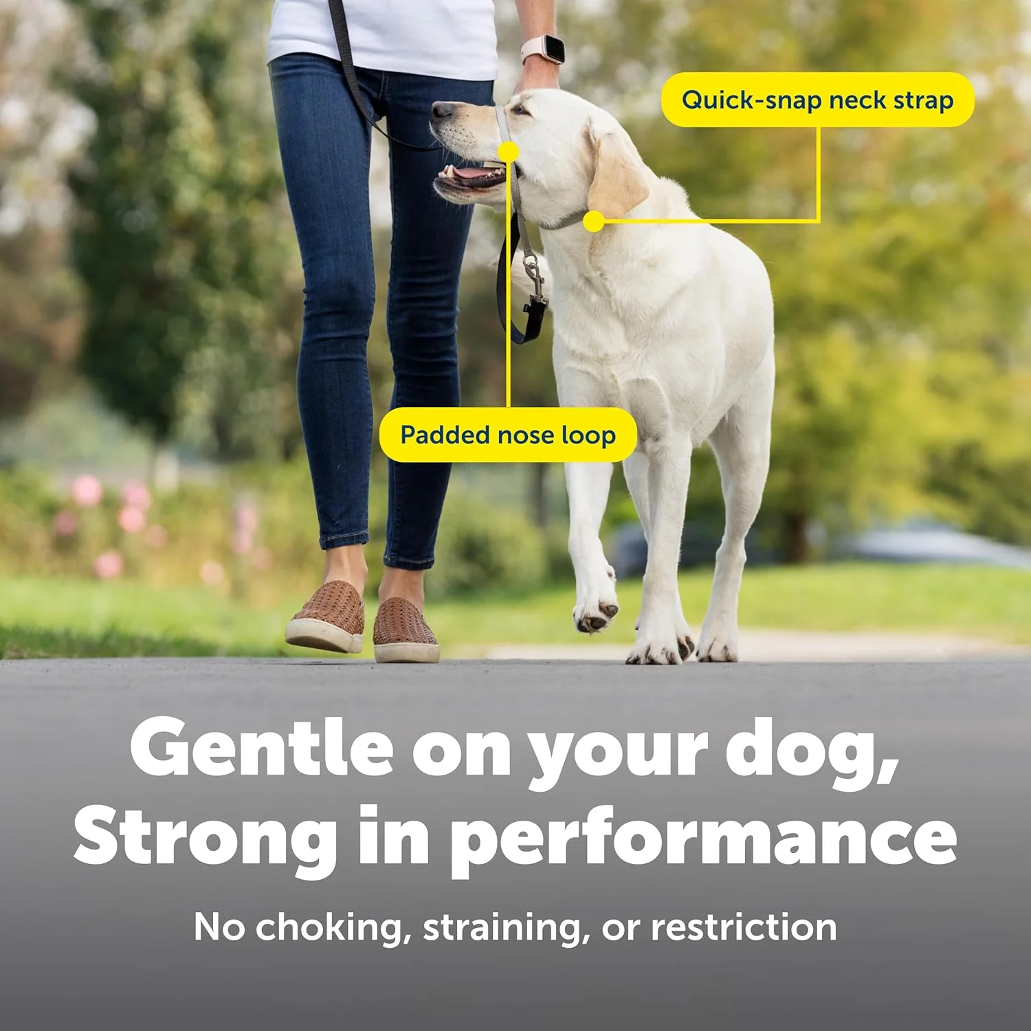 قلاده سر سگ PetSafe Gentle Leader بدون کشیدن - راه حل نهایی برای کشیدن - کشیدن سگ شما را برای پیاده روی آسان تر تغییر می دهد - به شما کمک می کند کنترل را دوباره به دست آورید - کوچک، ذغالی قلاده سر سگ PetSafe Gentle Leader بدون کشیدن - راه حل نهایی برای کشیدن - کشیدن سگ شما را برای پیاده روی آسان تر تغییر می دهد - به شما کمک می کند کنترل را دوباره به دست آورید - کوچک، ذغالی