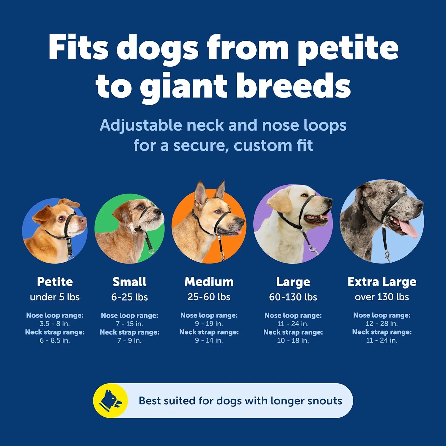قلاده سر سگ PetSafe Gentle Leader بدون کشیدن - راه حل نهایی برای کشیدن - کشیدن سگ شما را برای پیاده روی آسان تر تغییر می دهد - به شما کمک می کند کنترل را دوباره به دست آورید - کوچک، ذغالی قلاده سر سگ PetSafe Gentle Leader بدون کشیدن - راه حل نهایی برای کشیدن - کشیدن سگ شما را برای پیاده روی آسان تر تغییر می دهد - به شما کمک می کند کنترل را دوباره به دست آورید - کوچک، ذغالی