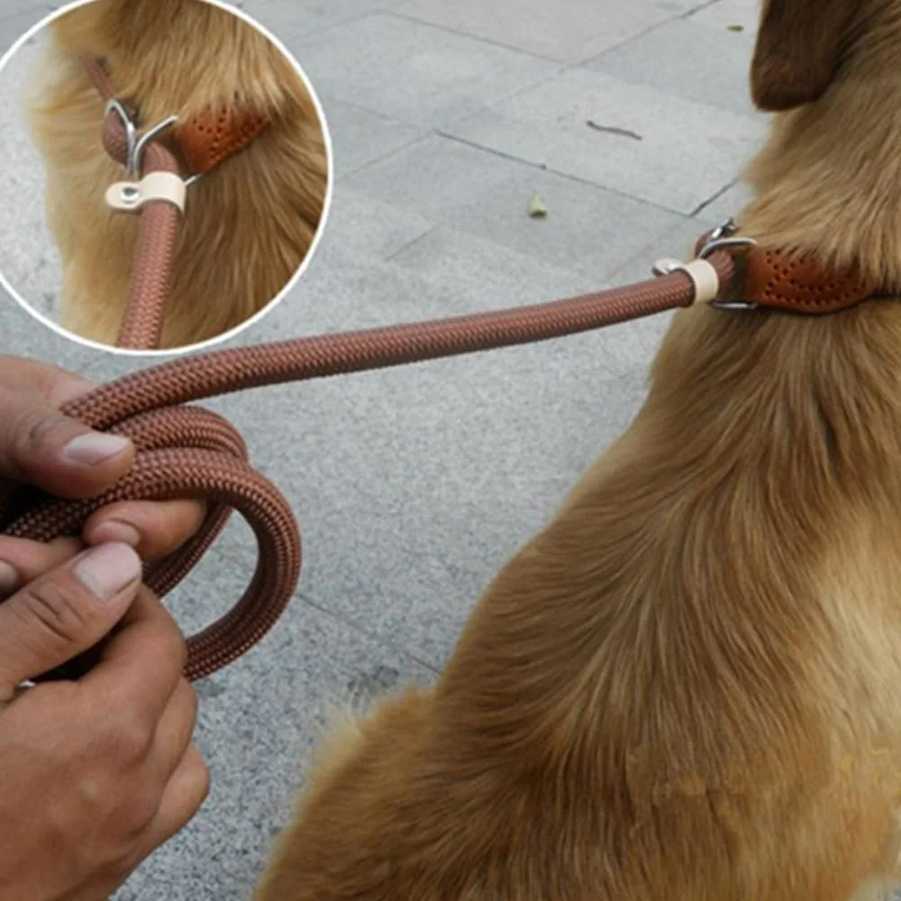 طناب آموزشی سگ، طناب لغزشی نایلونی قابل تنظیم، زنجیر ضد خفگی سگ، طناب لغزشی بادوام، طناب لغزشی قوی و راحت برای سگ، مناسب برای سگ های کوچک، متوسط و بزرگ (2 عدد)