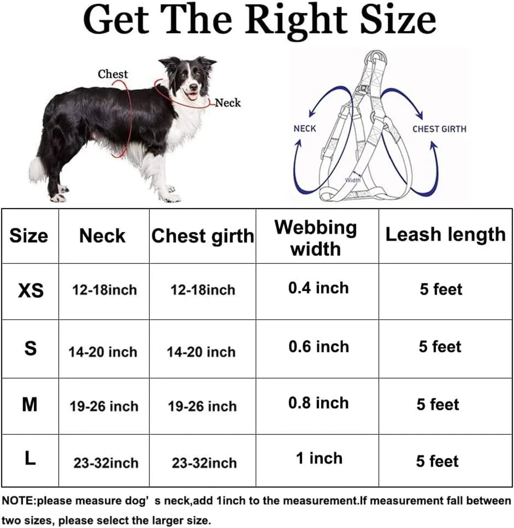 ست قلاده، هارنس و بند سگ TOMVAES - بدون کشیدن، قابل تنظیم، دارای گیره پشتی، قلاده پایه، بند مقاوم 1.5 متری ضد پیچ خوردگی برای آموزش توله سگ های خیلی کوچک و نژادهای متوسط، پیاده روی آسان و دویدن (XS) ست قلاده، هارنس و بند سگ TOMVAES - بدون کشیدن، قابل تنظیم، دارای گیره پشتی، قلاده پایه، بند مقاوم 1.5 متری ضد پیچ خوردگی برای آموزش توله سگ های خیلی کوچک و نژادهای متوسط، پیاده روی آسان و دویدن (XS)