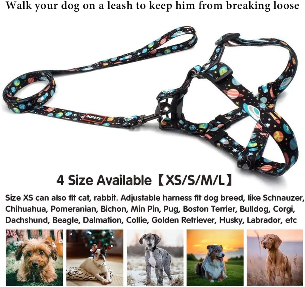 ست قلاده، هارنس و بند سگ TOMVAES - بدون کشیدن، قابل تنظیم، دارای گیره پشتی، قلاده پایه، بند مقاوم 1.5 متری ضد پیچ خوردگی برای آموزش توله سگ های خیلی کوچک و نژادهای متوسط، پیاده روی آسان و دویدن (XS) ست قلاده، هارنس و بند سگ TOMVAES - بدون کشیدن، قابل تنظیم، دارای گیره پشتی، قلاده پایه، بند مقاوم 1.5 متری ضد پیچ خوردگی برای آموزش توله سگ های خیلی کوچک و نژادهای متوسط، پیاده روی آسان و دویدن (XS)