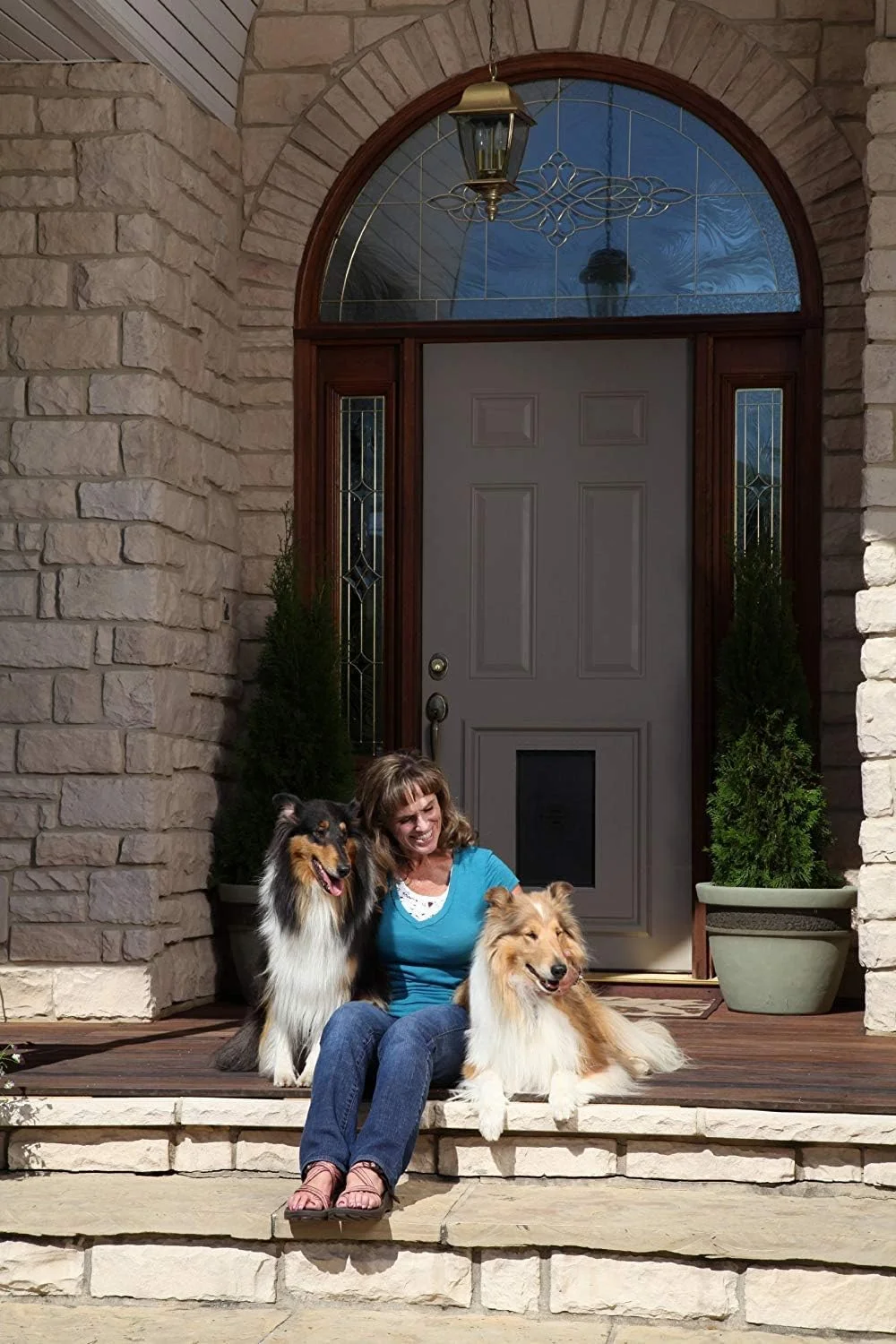 دریچه حیوانات خانگی جایگزین تک پنلی PetSafe با قاب رنگ‌آمیزی‌شدنی، طراحی شده به طور خاص برای درهای پنلی، قاب پلاستیکی بادوام، پنل بسته‌شدنی فشاری، برای سگ‌ها تا وزن ۱۰۰ کیلوگرم