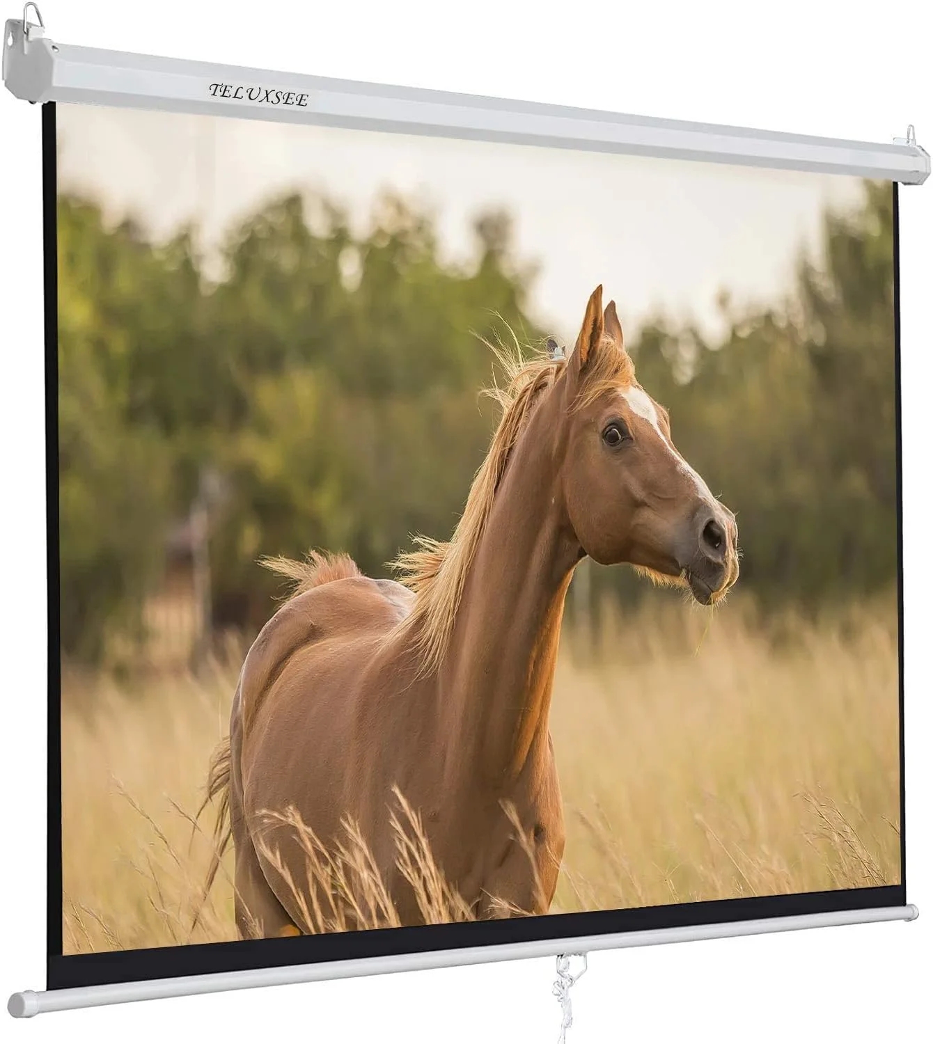 پرده نمایش پروژکتور 16:9 HD تلوکسی، تاشو، ضد چروک، قابل حمل، دستی، مناسب برای سینمای خانگی، ارائه، آموزش، نمایش عمومی در فضای باز و داخلی (100 اینچ) پرده نمایش پروژکتور 16:9 HD تلوکسی، تاشو، ضد چروک، قابل حمل، دستی، مناسب برای سینمای خانگی، ارائه، آموزش، نمایش عمومی در فضای باز و داخلی (100 اینچ)