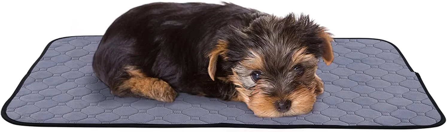 پد ادرار سگ Mumoo Bear، پد آموزشی توله سگ قابل شستشو و استفاده مجدد، پد ادرار حیوانات خانگی با ساختار 4 لایه، جذب آب قوی، ضد نشت و ضد لغزش برای گربه، سگ، خرگوش، سایز M