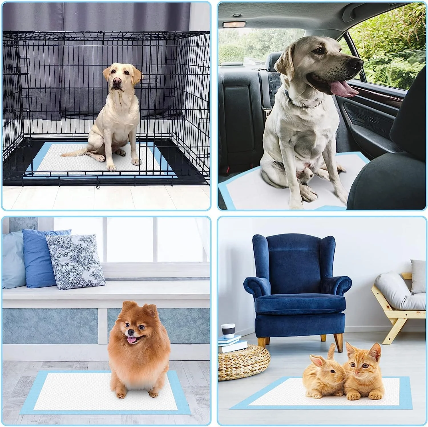 پدهای آموزشی سگ توله سگ مومو بیر، جاذب ادرار حیوانات خانگی، توالت ضد لغزش و ضد نشت (بسته 40 عددی - 60 * 60 سانتی متر) پدهای آموزشی سگ توله سگ مومو بیر، جاذب ادرار حیوانات خانگی، توالت ضد لغزش و ضد نشت (بسته 40 عددی - 60 * 60 سانتی متر)