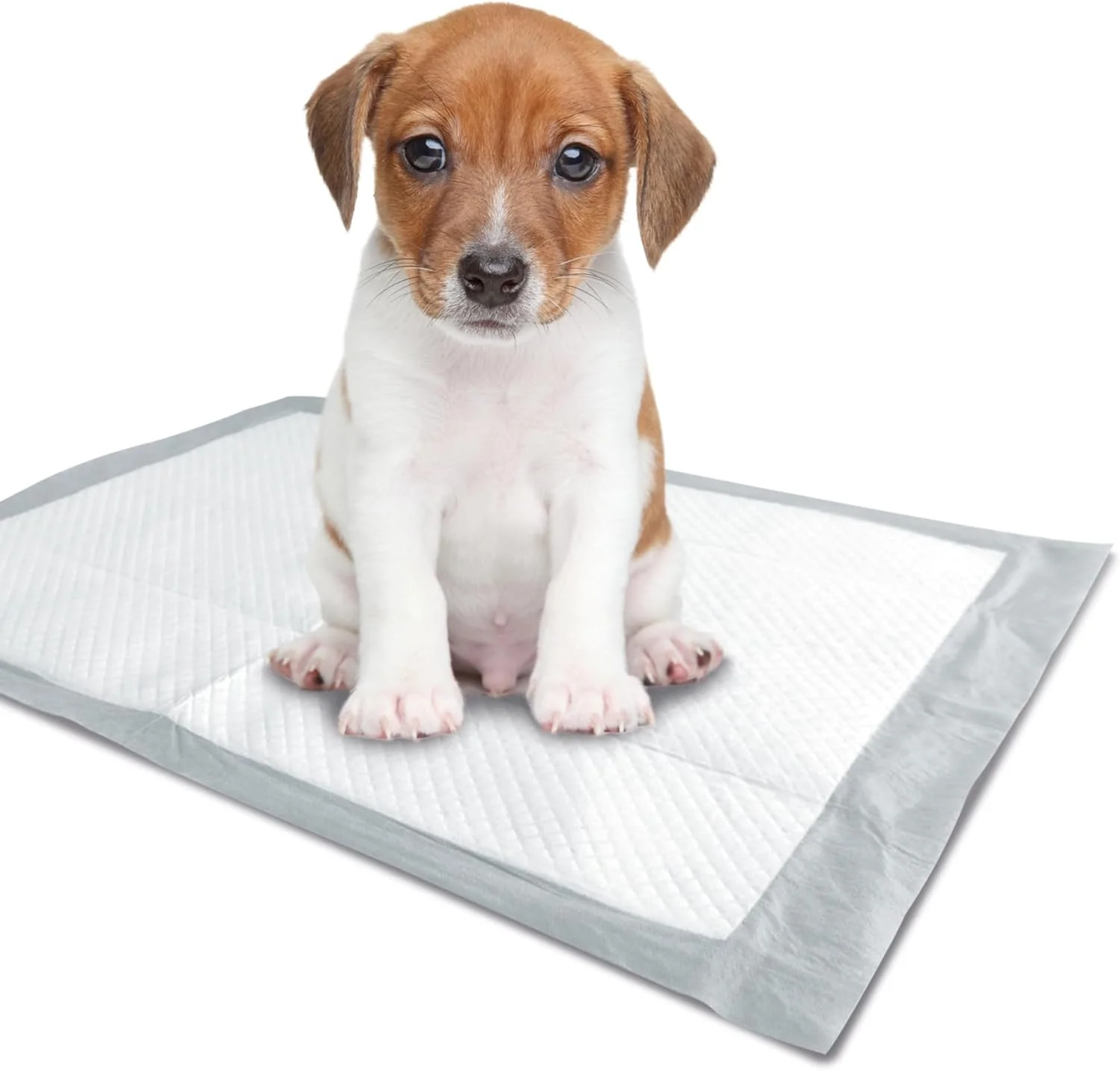 پدهای آموزشی سگ ام-پتس 60x60 سانتی متر بسته 30 عددی پدهای آموزشی سگ ام-پتس 60x60 سانتی متر بسته 30 عددی