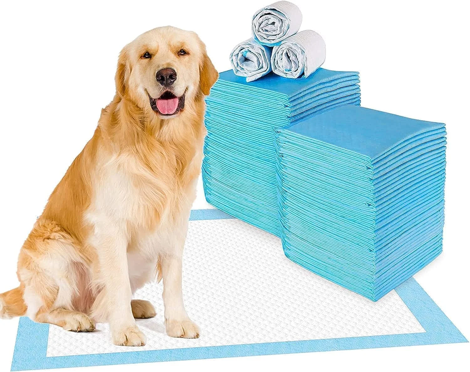 250 عدد پد آموزشی حیوانات خانگی با کیفیت بالا 60 در 60 سانتی متر، پد ادرار یکبار مصرف برای سگ، توله سگ، گربه، خرگوش و سایر حیوانات خانگی، خشک شدن سریع، بدون نشتی، فوق العاده جاذب 60 در 60 سانتی متر 250 عدد پد آموزشی حیوانات خانگی با کیفیت بالا 60 در 60 سانتی متر، پد ادرار یکبار مصرف برای سگ، توله سگ، گربه، خرگوش و سایر حیوانات خانگی، خشک شدن سریع، بدون نشتی، فوق العاده جاذب 60 در 60 سانتی متر