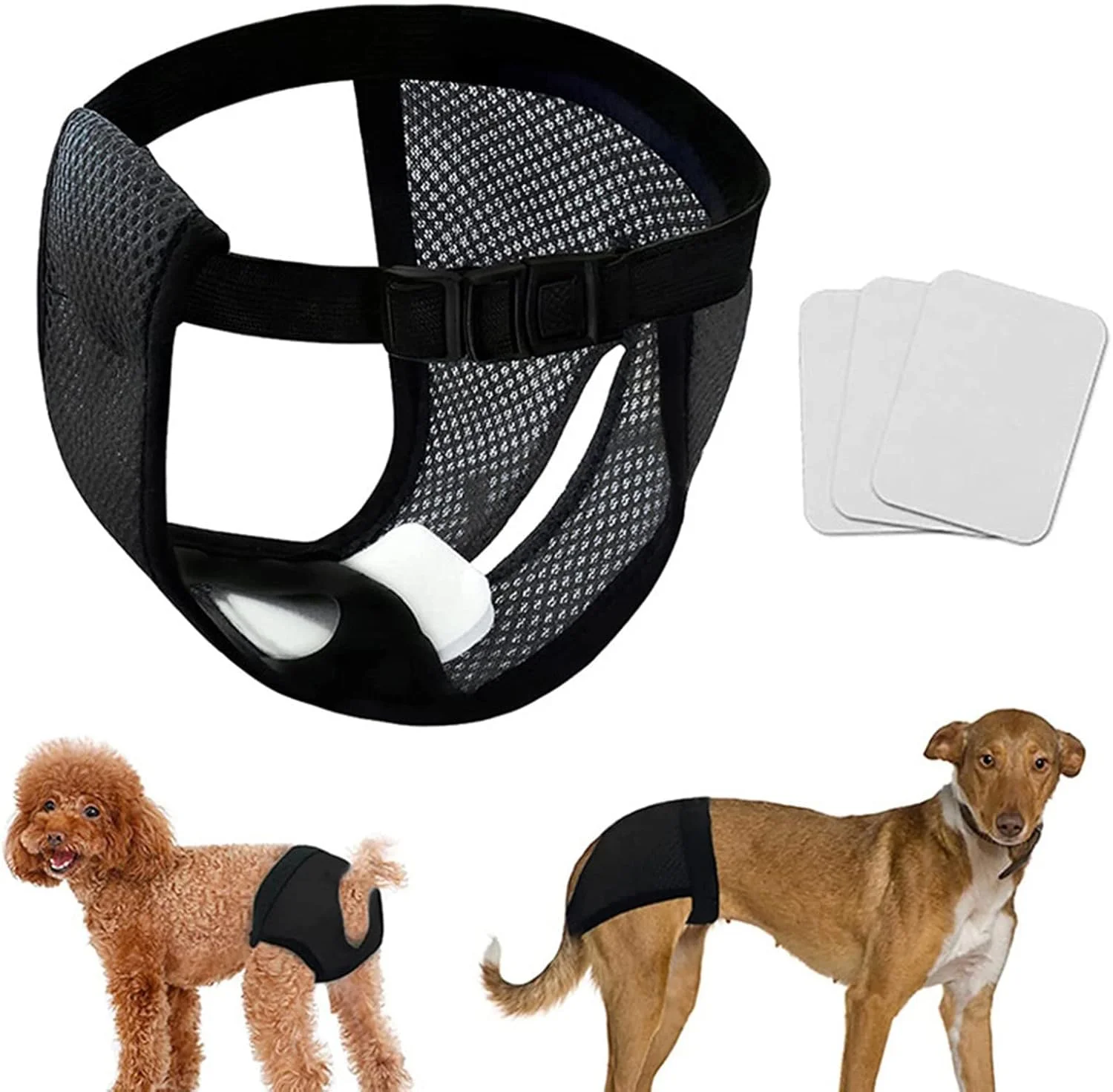 شورت بهداشتی توری سگ 2022 به همراه 3 پد پنبه ای سایز S-XXL شورت بهداشتی توری سگ 2022 به همراه 3 پد پنبه ای سایز S-XXL