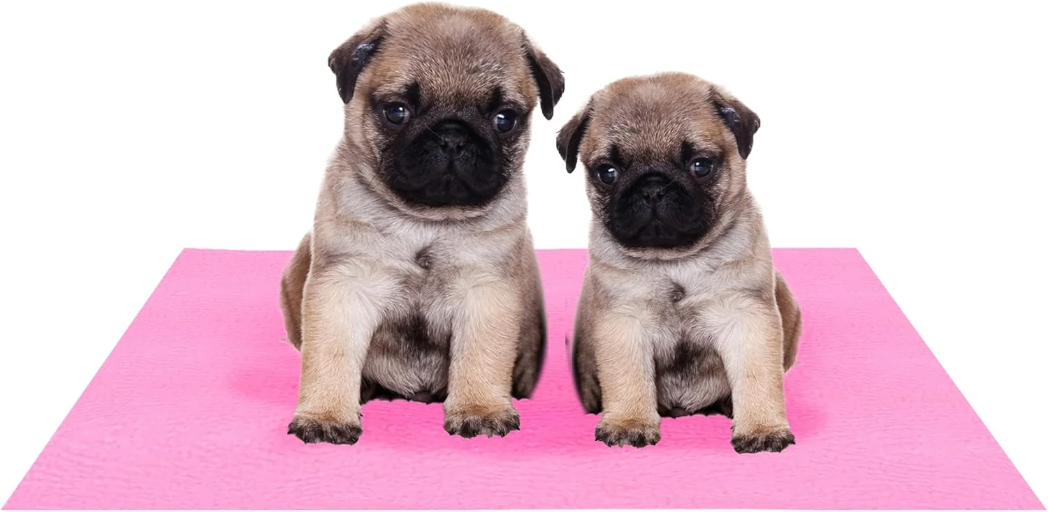 پد حیوانات خانگی آموریت (کوچک) | پدهای ضد آب، قابل استفاده مجدد و قابل شستشو | مناسب برای همه حیوانات خانگی | سایز - 70 x 50 سانتی متر (صورتی) پد حیوانات خانگی آموریت (کوچک) | پدهای ضد آب، قابل استفاده مجدد و قابل شستشو | مناسب برای همه حیوانات خانگی | سایز - 70 x 50 سانتی متر (صورتی)