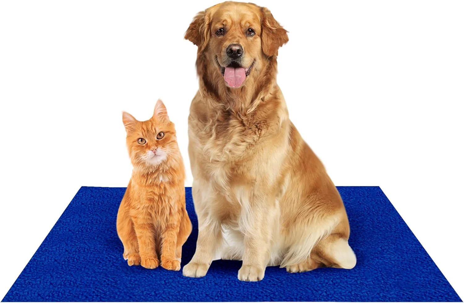 پد ضد آب نخی قابل شستشو و استفاده مجدد Amorite برای سگ ها (بزرگ، آبی سلطنتی) پد ضد آب نخی قابل شستشو و استفاده مجدد Amorite برای سگ ها (بزرگ، آبی سلطنتی)