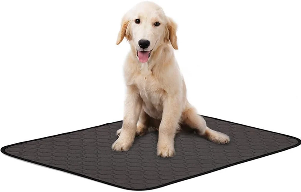 پدهای ادرار قابل شستشو و استفاده مجدد AMhuui، برای سگ ها، آموزش حیوانات خانگی و پدهای ضد آب توله سگ، ضد نشت و جاذب برای محافظت از کف، ماشین و نظافت آسان در خانه، آپارتمان و مسافرت پدهای ادرار قابل شستشو و استفاده مجدد AMhuui، برای سگ ها، آموزش حیوانات خانگی و پدهای ضد آب توله سگ، ضد نشت و جاذب برای محافظت از کف، ماشین و نظافت آسان در خانه، آپارتمان و مسافرت