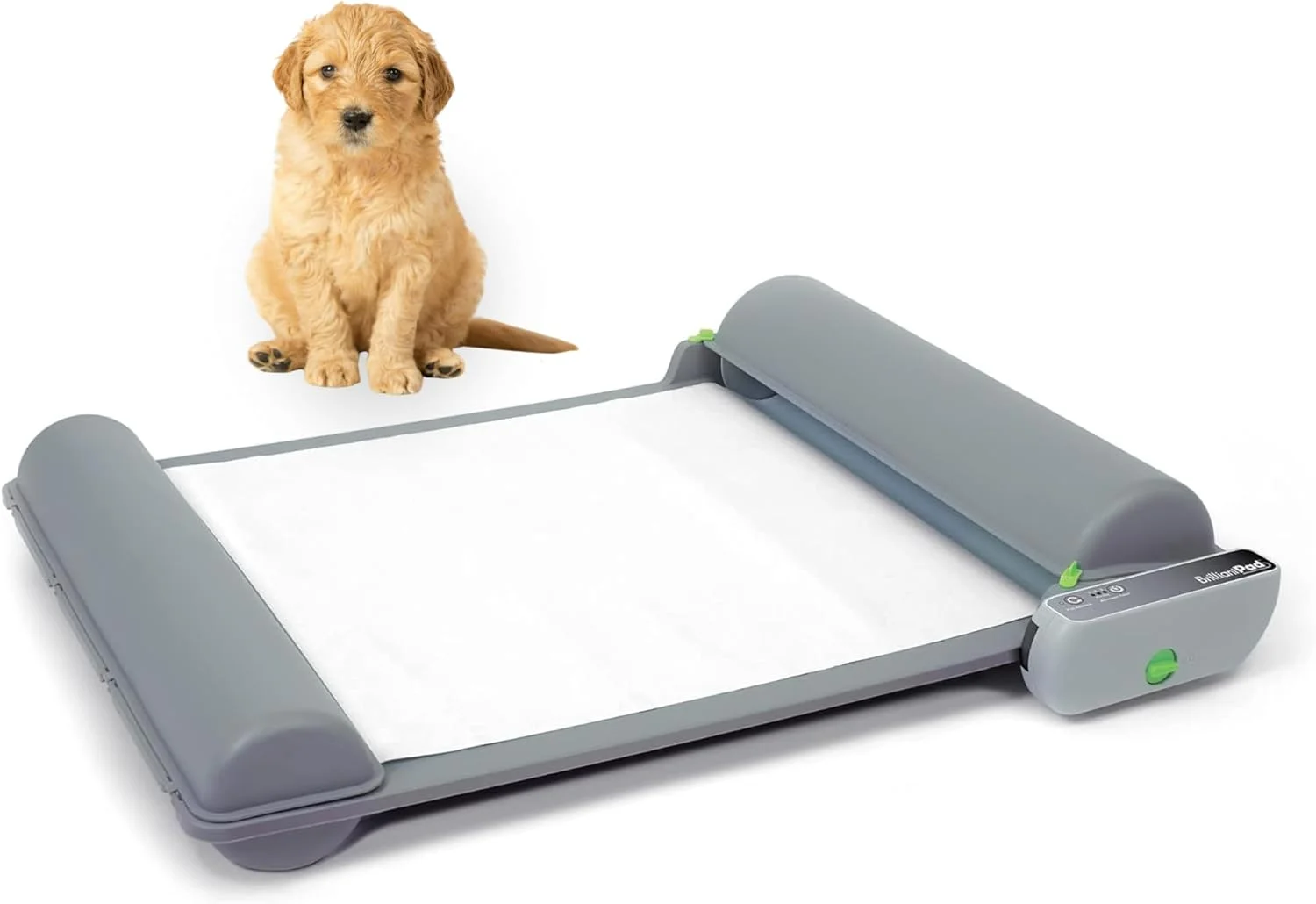 دستشویی سگ خانگی بریلیانت پد برای حیوانات کوچک، مدل پایه | خود تمیز شونده اتوماتیک با کنترل بو، جایگزین آموزش دستشویی توله سگ به چمن، بدون کثیف کاری | شامل 1 رول پد جاذب یکبار مصرف دستشویی سگ خانگی بریلیانت پد برای حیوانات کوچک، مدل پایه | خود تمیز شونده اتوماتیک با کنترل بو، جایگزین آموزش دستشویی توله سگ به چمن، بدون کثیف کاری | شامل 1 رول پد جاذب یکبار مصرف