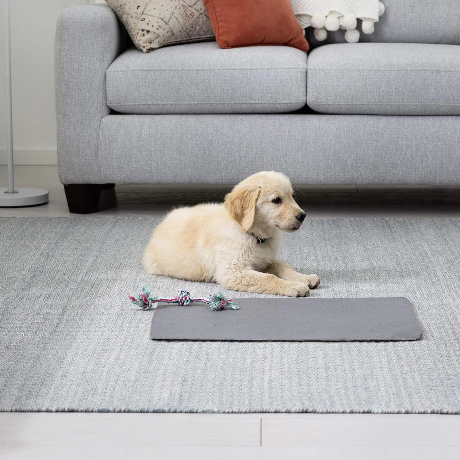 پدهای آموزشی سگ و توله سگ بریندل - بسته 2 عددی - پدهای قابل شستشو و استفاده مجدد - پد ضد آب و ضد لغزش حیوانات خانگی - پد ادرار برای سگ ها پدهای آموزشی سگ و توله سگ بریندل - بسته 2 عددی - پدهای قابل شستشو و استفاده مجدد - پد ضد آب و ضد لغزش حیوانات خانگی - پد ادرار برای سگ ها