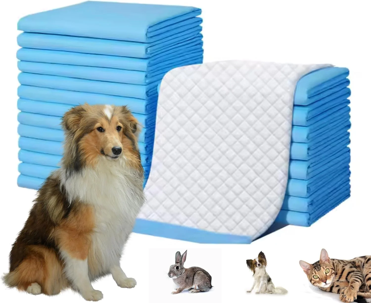 پدهای ادرار سگ BRKT، پدهای فوق العاده جاذب برای توله سگ، پدهای آموزشی یکبار مصرف ضد نشت برای سگ ها، پدهای ادرار حیوانات خانگی با خشک شدن سریع برای آموزش در خانه، پدهای فوق العاده جاذب برای سگ ها (M(45*60-50 عدد)) پدهای ادرار سگ BRKT، پدهای فوق العاده جاذب برای توله سگ، پدهای آموزشی یکبار مصرف ضد نشت برای سگ ها، پدهای ادرار حیوانات خانگی با خشک شدن سریع برای آموزش در خانه، پدهای فوق العاده جاذب برای سگ ها (M(45*60-50 عدد))