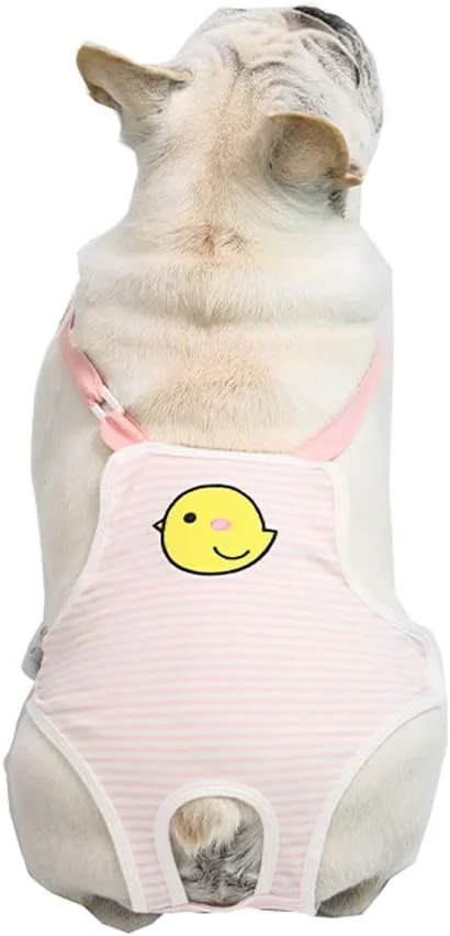 شورت بهداشتی سگ BT Bear قابل استفاده مجدد، شورت سگ ماده دوست داشتنی قابل شستشو در ماشین لباسشویی برای سگ های کوچک و متوسط (جوجه صورتی) شورت بهداشتی سگ BT Bear قابل استفاده مجدد، شورت سگ ماده دوست داشتنی قابل شستشو در ماشین لباسشویی برای سگ های کوچک و متوسط (جوجه صورتی)