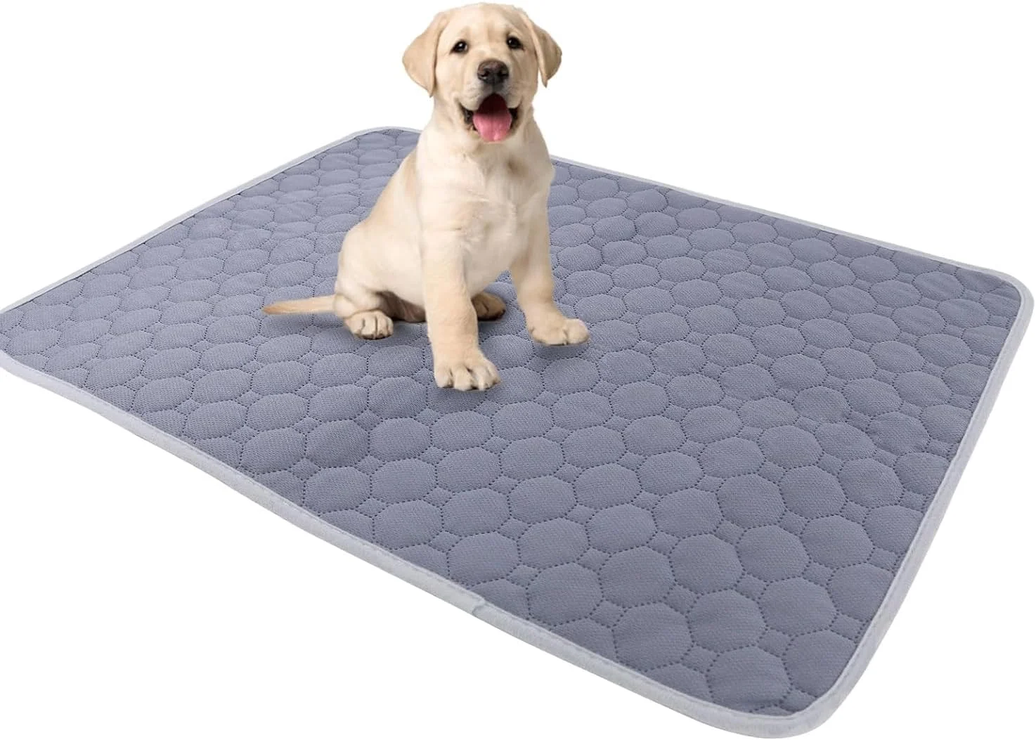 پدهای آموزشی سگ قابل استفاده مجدد Coodipet، 1 عدد قابل شستشو، زیرانداز سگ ضد آب و فوق العاده جاذب، 70cm*50cm پدهای آموزشی سگ قابل استفاده مجدد Coodipet، 1 عدد قابل شستشو، زیرانداز سگ ضد آب و فوق العاده جاذب، 70cm*50cm