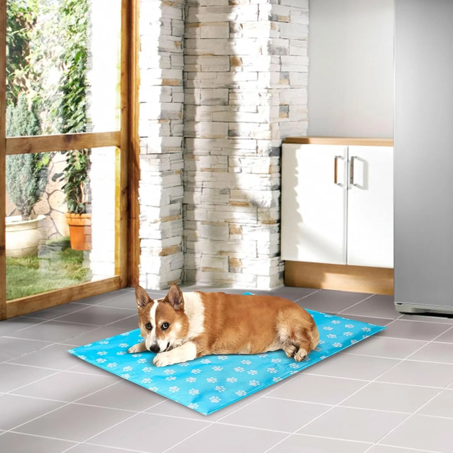 پد خنک کننده سگ، زیرانداز یخی تاشو برای توله سگ | پد یخی قابل شستشو در ماشین لباسشویی، پد آموزشی تابستانی قابل استفاده مجدد، پد خنک کننده ژلی برای سگ و گربه پد خنک کننده سگ، زیرانداز یخی تاشو برای توله سگ | پد یخی قابل شستشو در ماشین لباسشویی، پد آموزشی تابستانی قابل استفاده مجدد، پد خنک کننده ژلی برای سگ و گربه