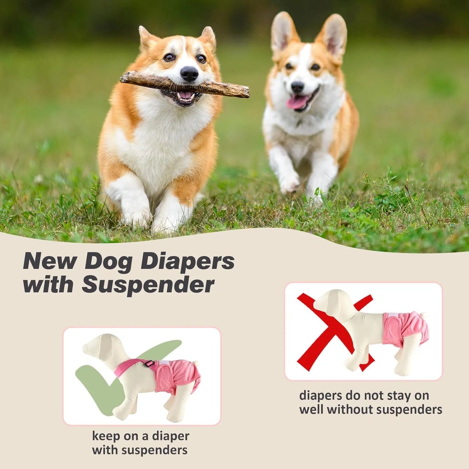 پوشک سگ ماده Hisprout، بسته 3 عددی، با بند شانه ای، قابل شستشو، تنفس پذیر و بادوام، شورت سگ برای فصل گرما، بی اختیاری ادرار (S، صورتی/بنفش/مشکی) پوشک سگ ماده Hisprout، بسته 3 عددی، با بند شانه ای، قابل شستشو، تنفس پذیر و بادوام، شورت سگ برای فصل گرما، بی اختیاری ادرار (S، صورتی/بنفش/مشکی)