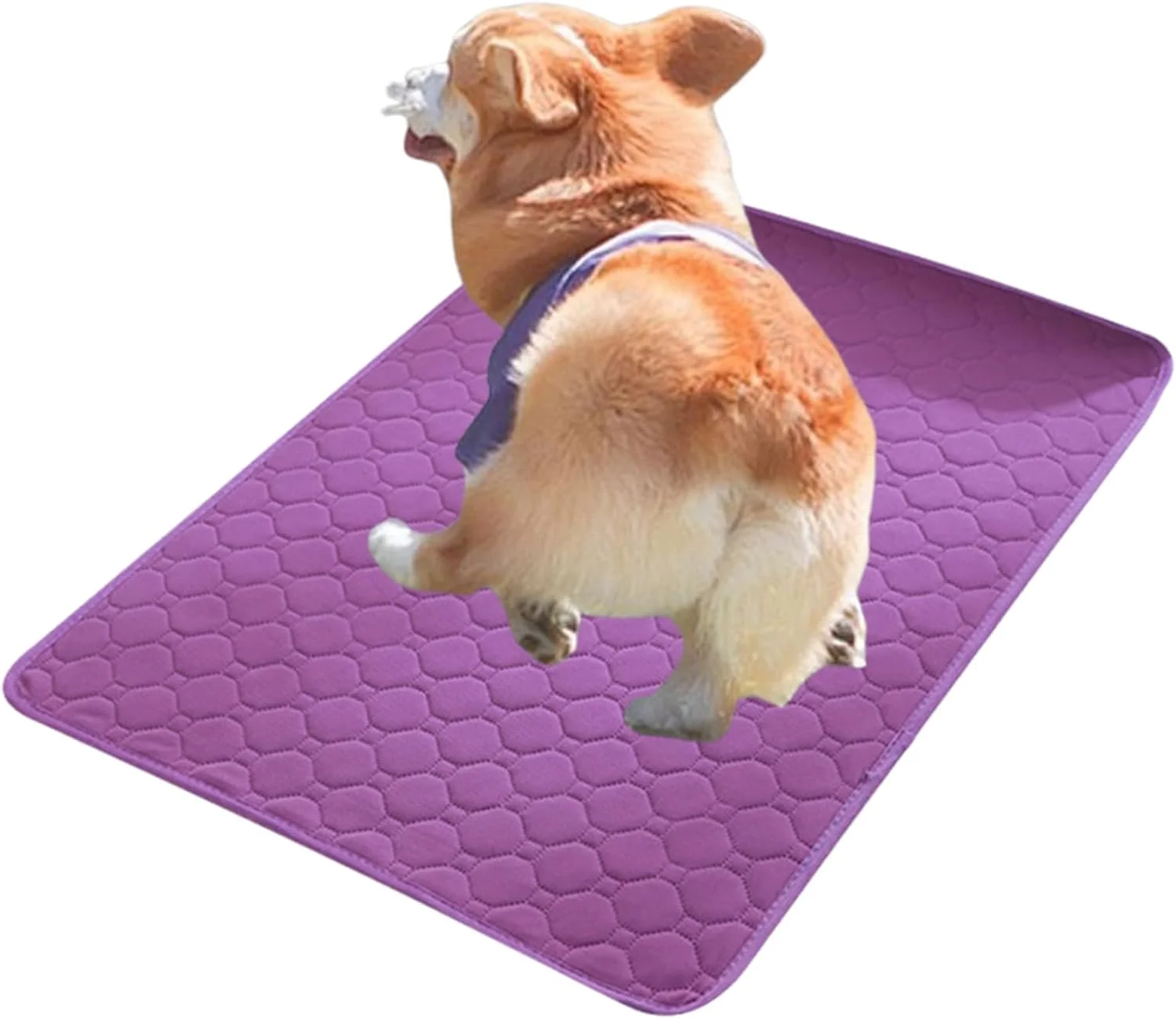 پد ادرار سگ | پد های ادرار قابل شستشو برای توله سگ - زیراندازهای ضد نشت برای حیوانات خانگی، زیراندازهای زایمان ضد لغزش برای همه نژادها، مناسب آموزش ادرار در خانه و داخل منزل برای توله سگ پد ادرار سگ | پد های ادرار قابل شستشو برای توله سگ - زیراندازهای ضد نشت برای حیوانات خانگی، زیراندازهای زایمان ضد لغزش برای همه نژادها، مناسب آموزش ادرار در خانه و داخل منزل برای توله سگ